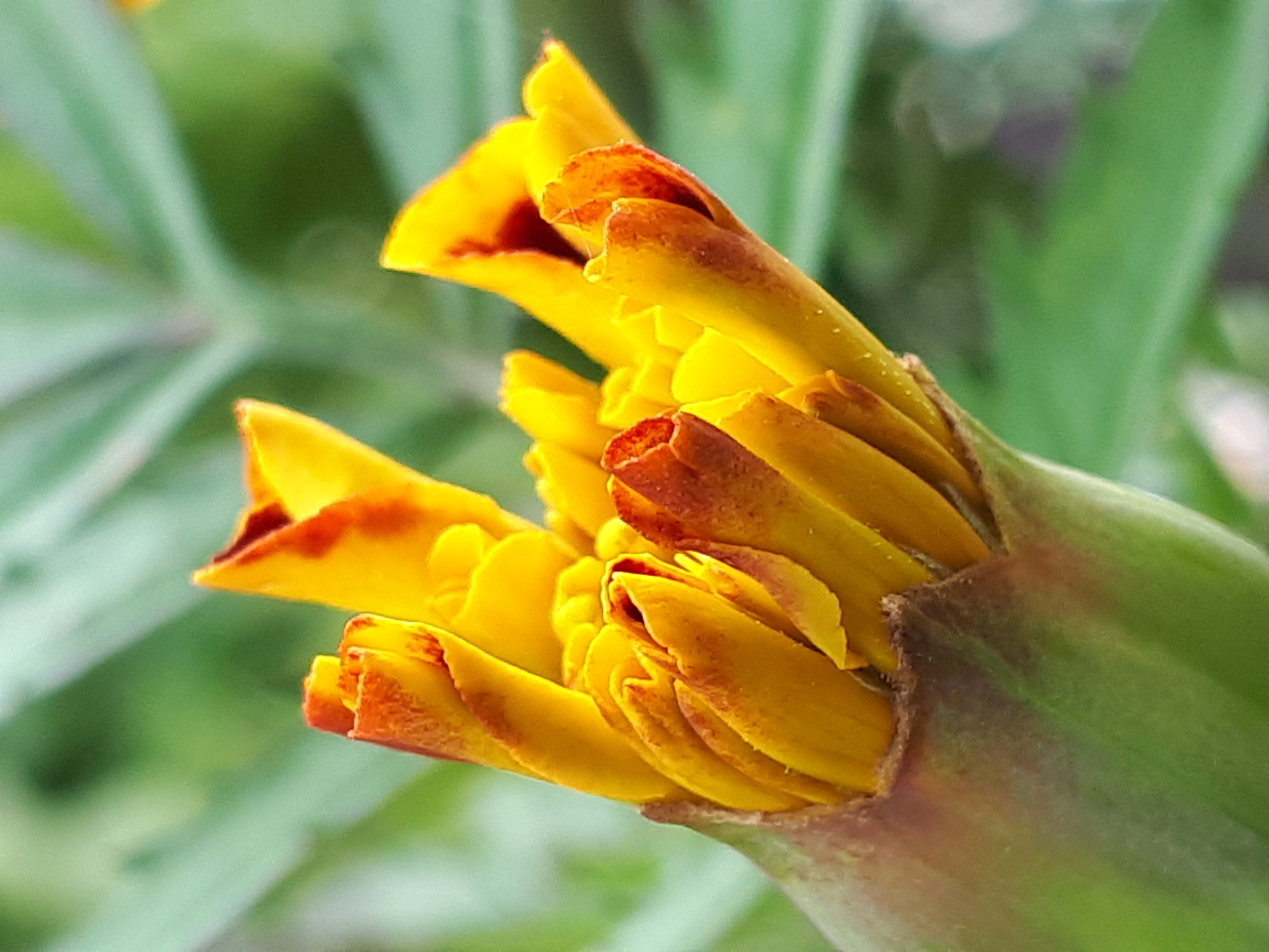 20190519_123600.jpg