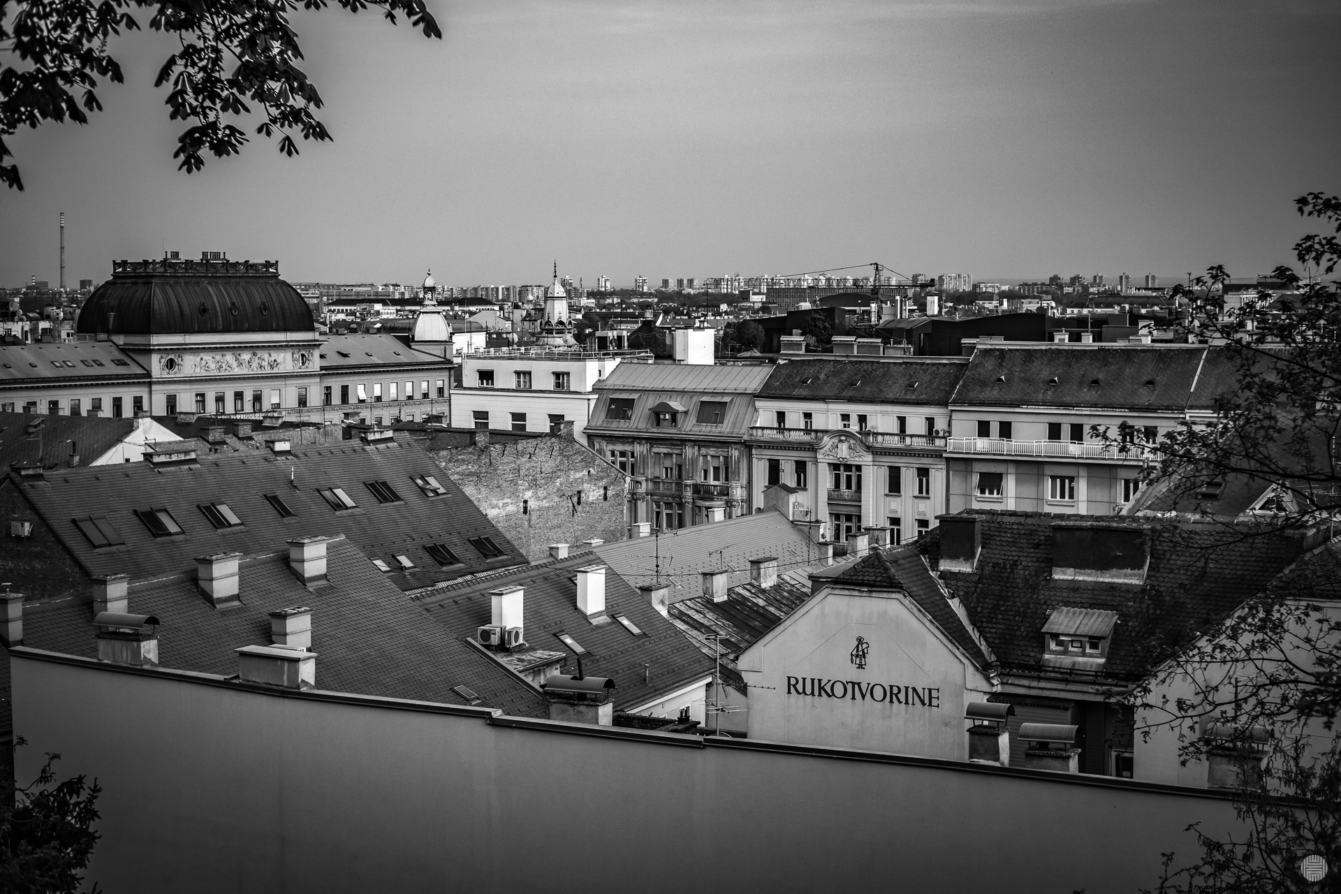 IMG_9746.jpg