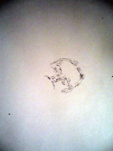 DSC03863.gif