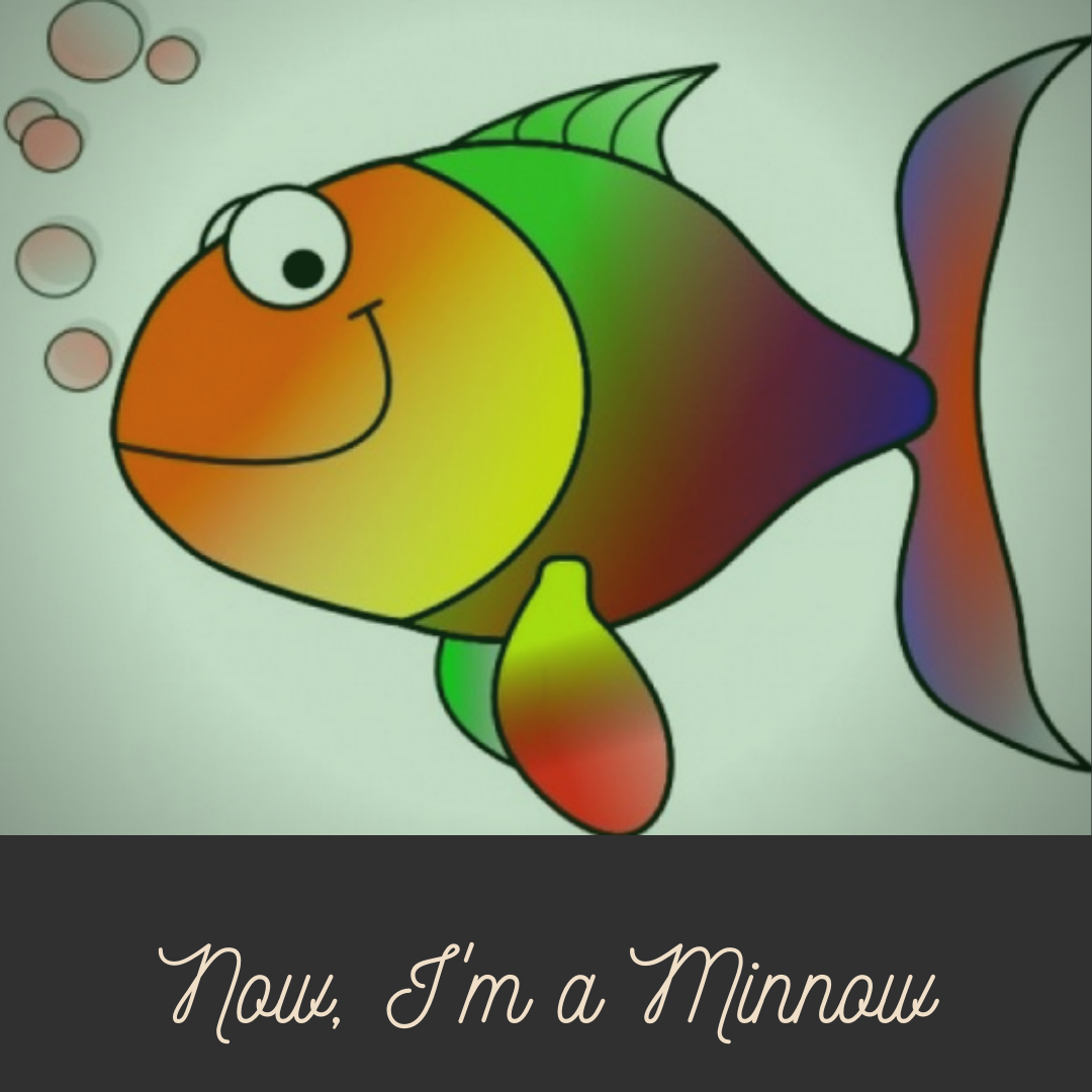 Картинки рыбок распечатать цветные