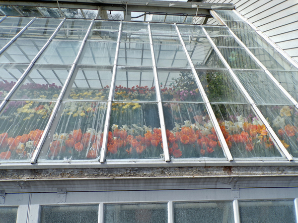 Mt. Holyoke1 crop March 2020.jpg