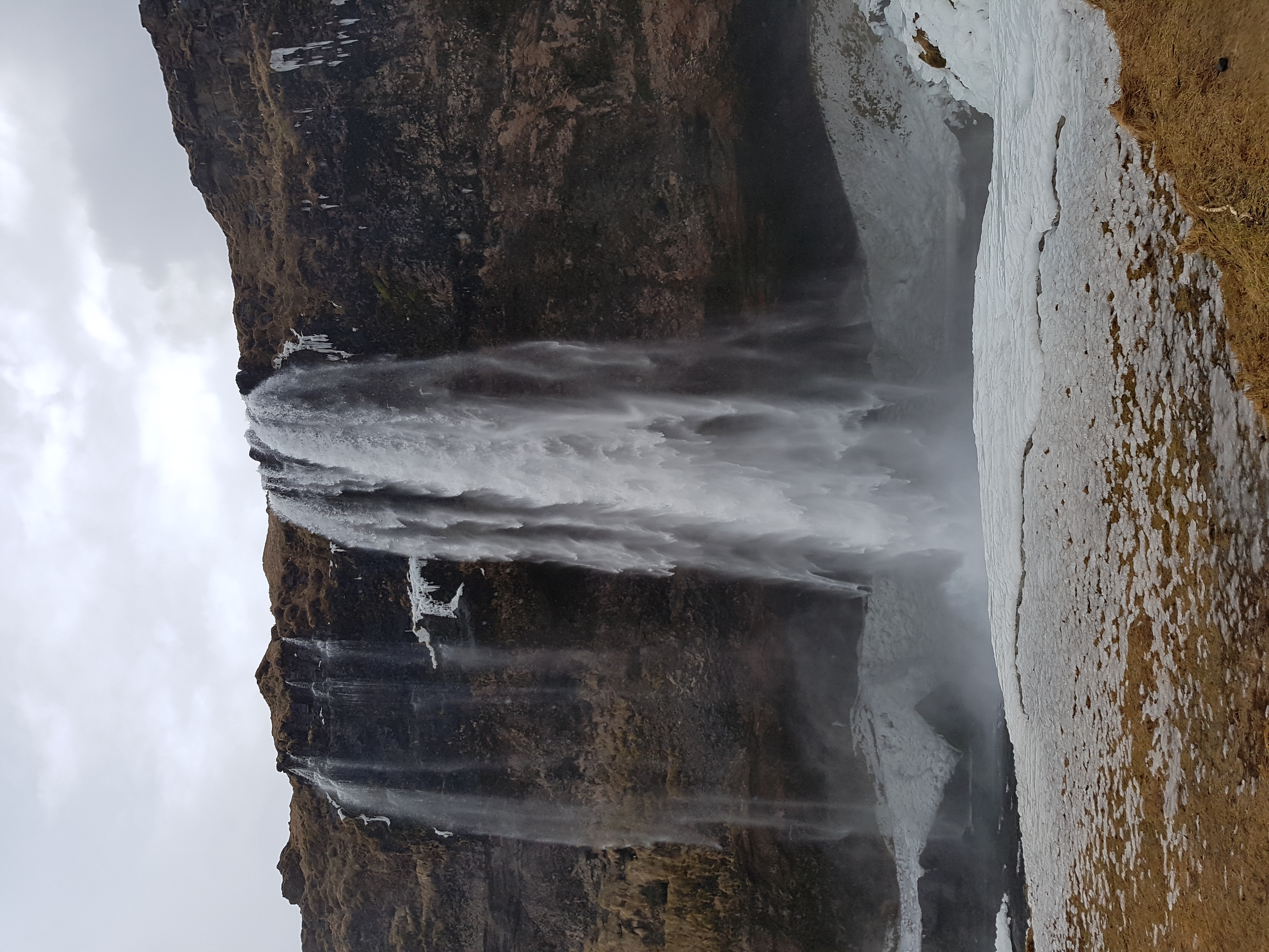 20180315_093346.jpg