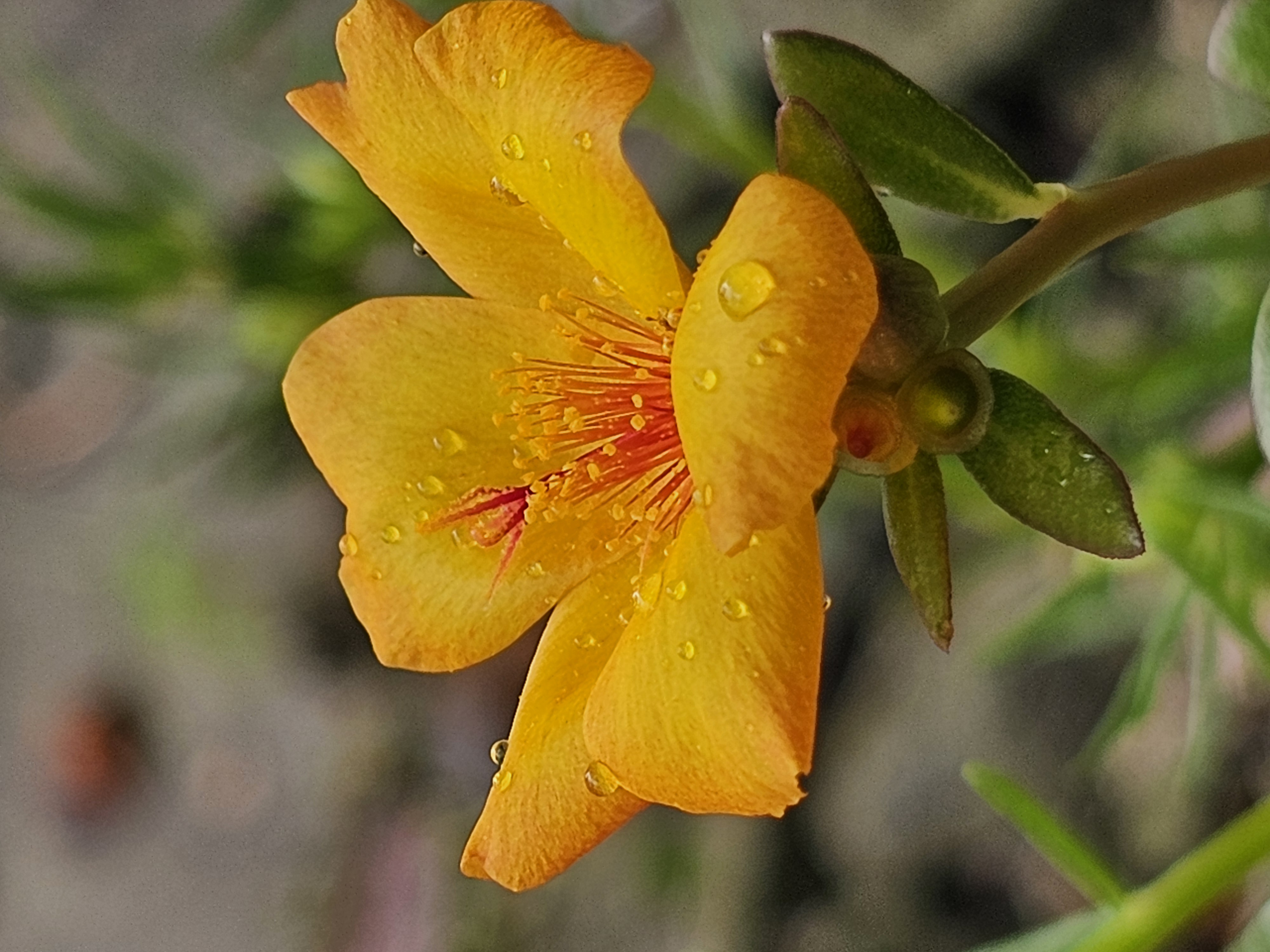 20250715_084421.jpg