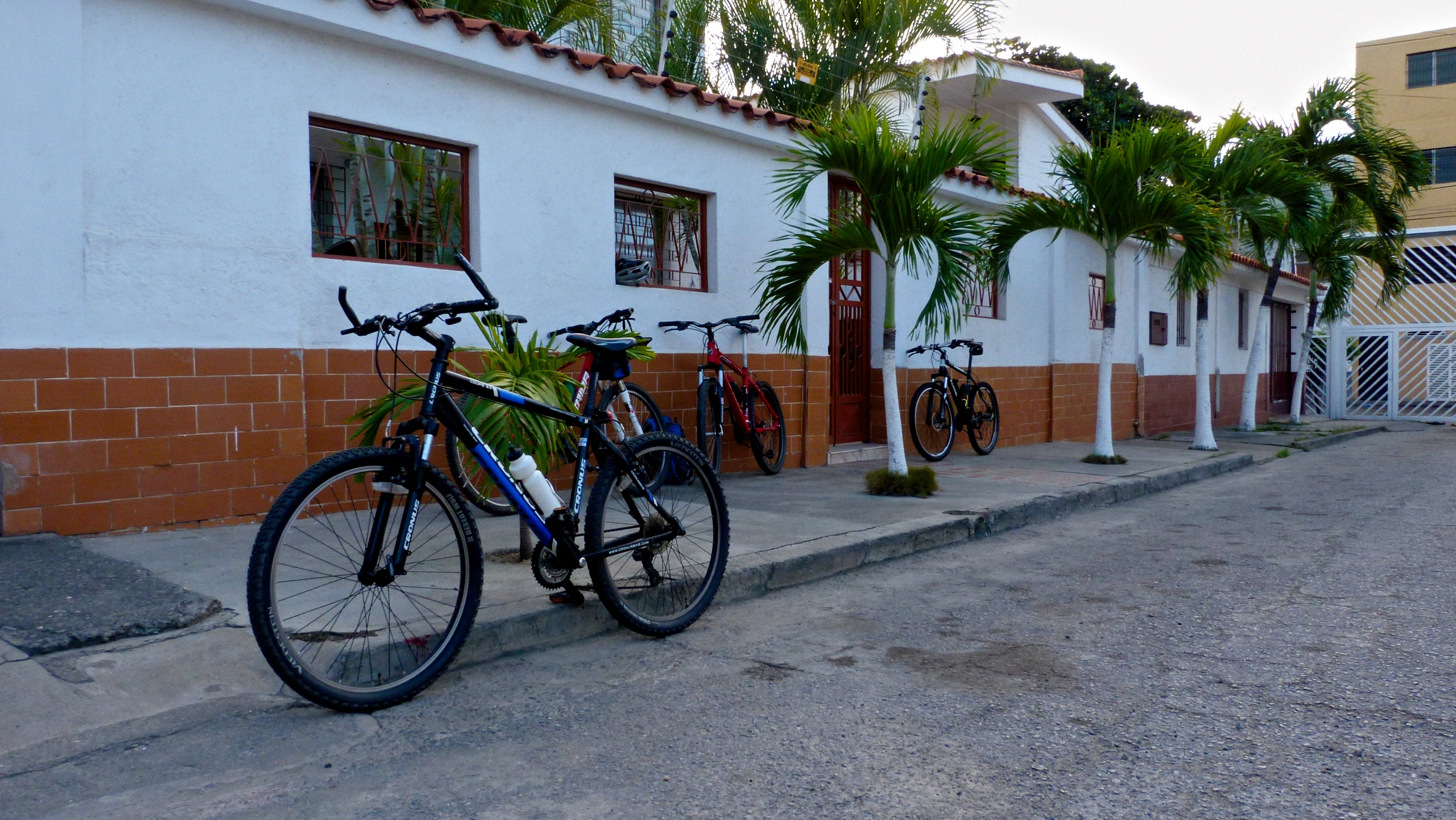 P1010336b-Exposure.jpg