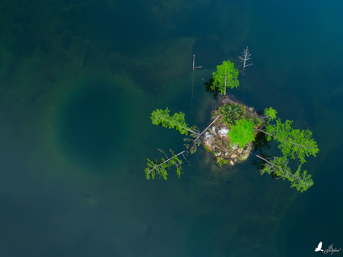 DJI_0446.jpg