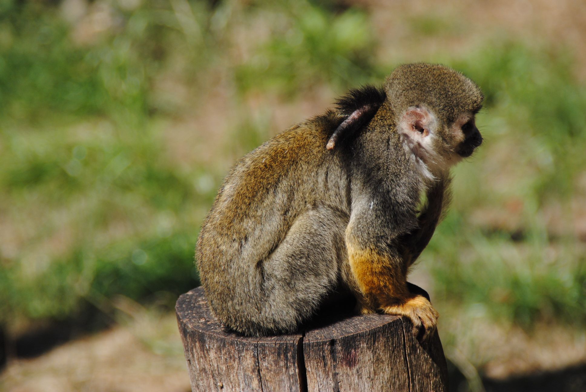 image069.jpg