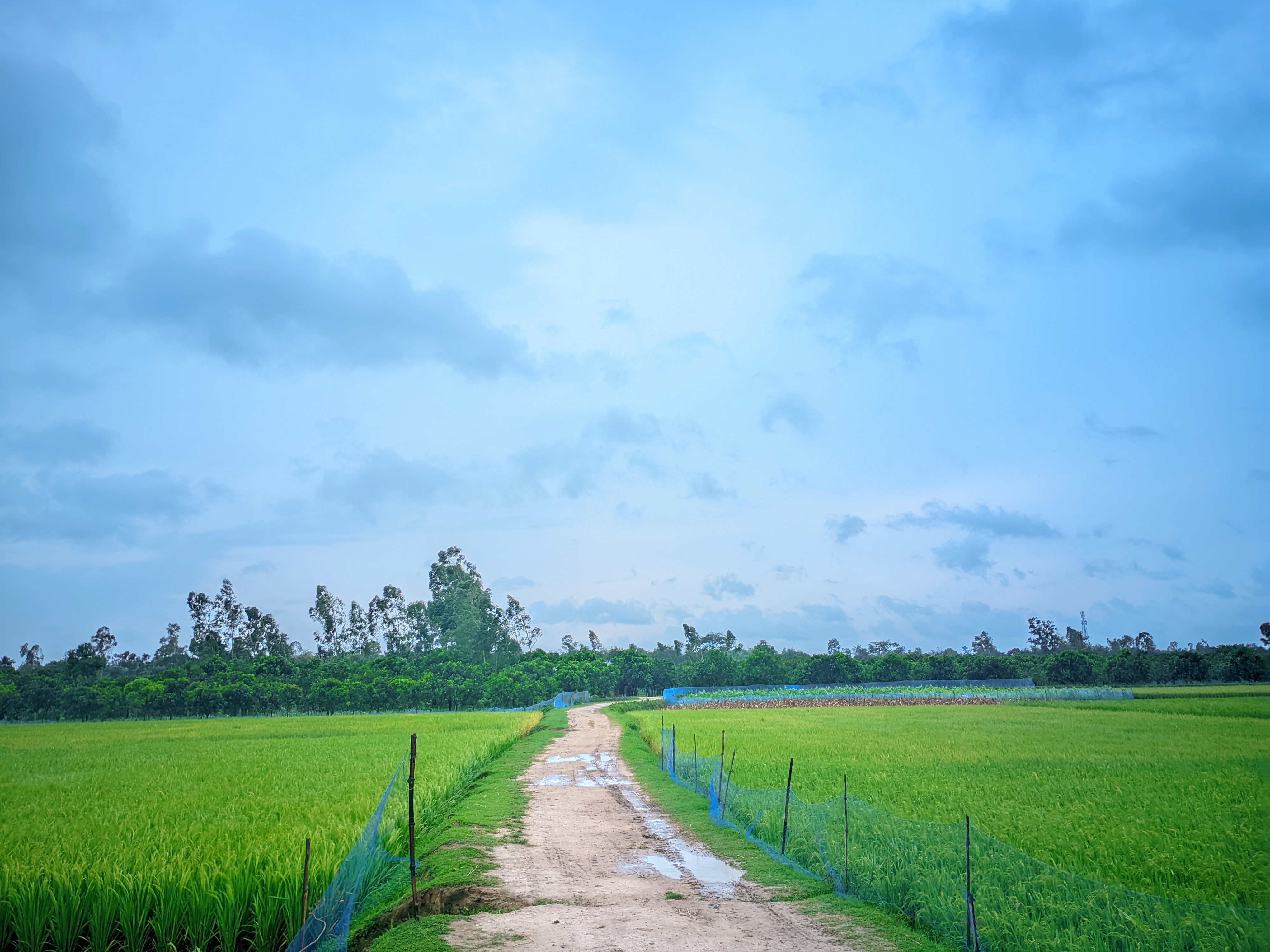 RIYAN_20240527_154402_🌈Sky Blue by Expert Mistry-2.jpg