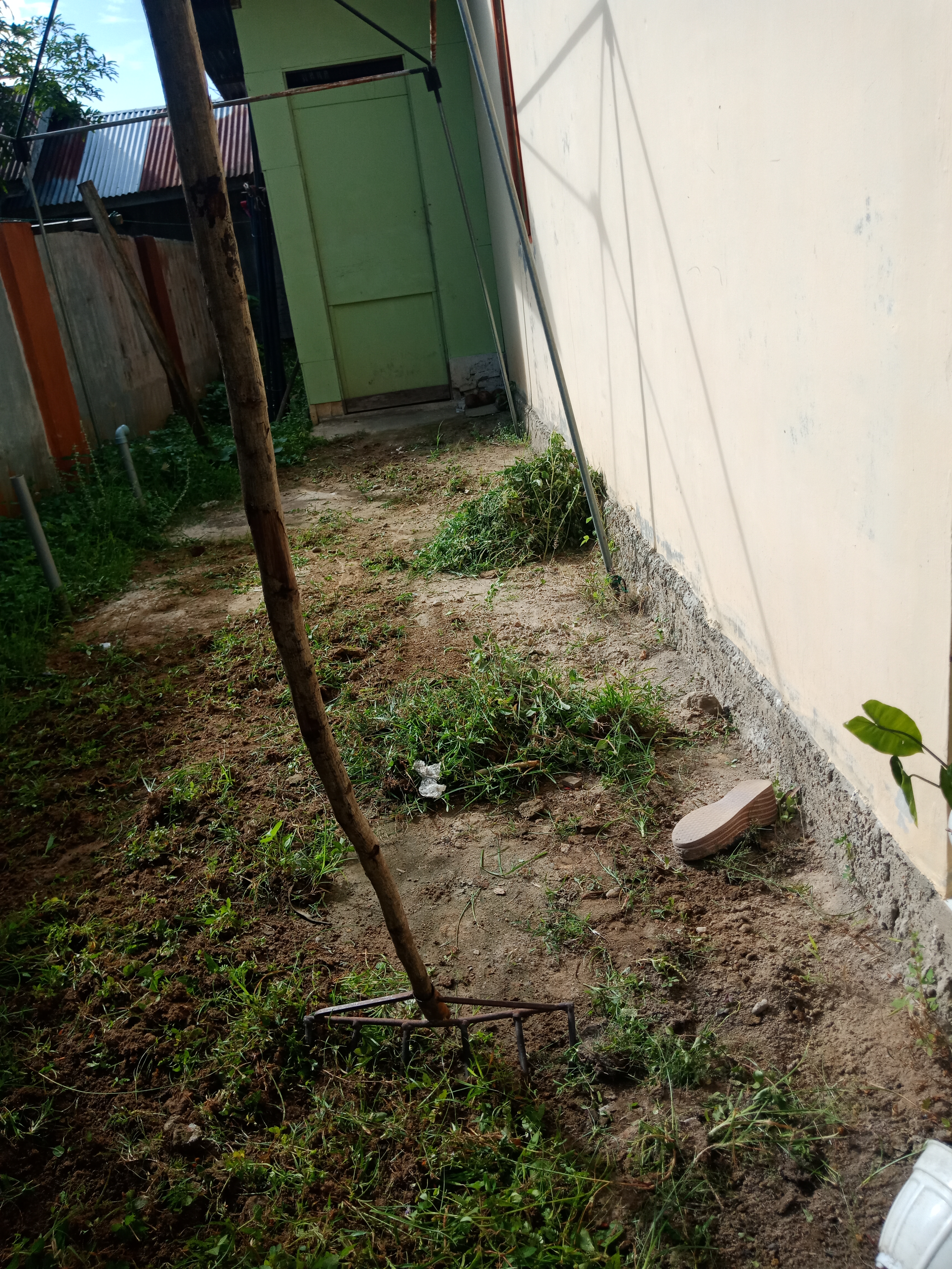 IMG20220706091513.jpg
