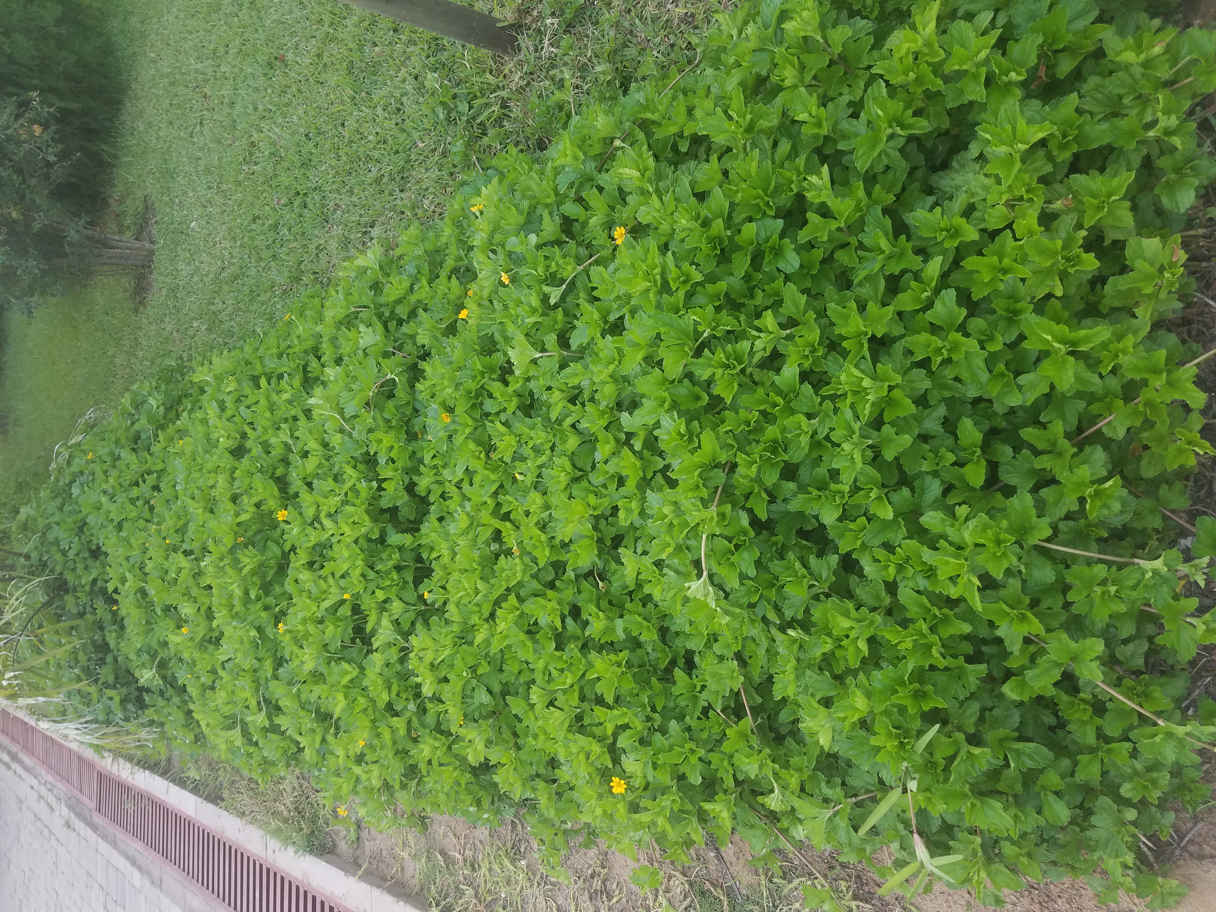 20210720_175831.jpg