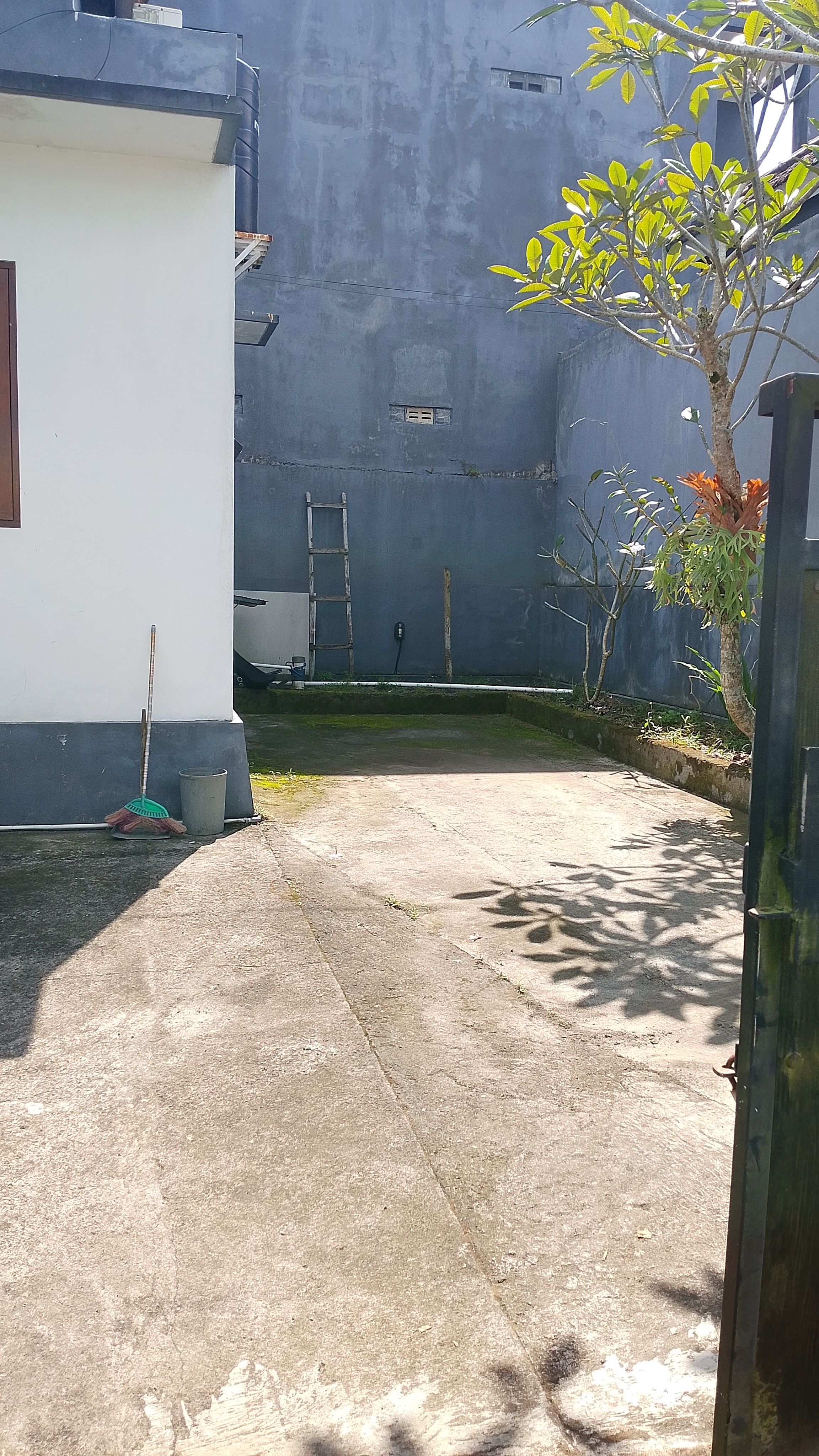 93464.jpg