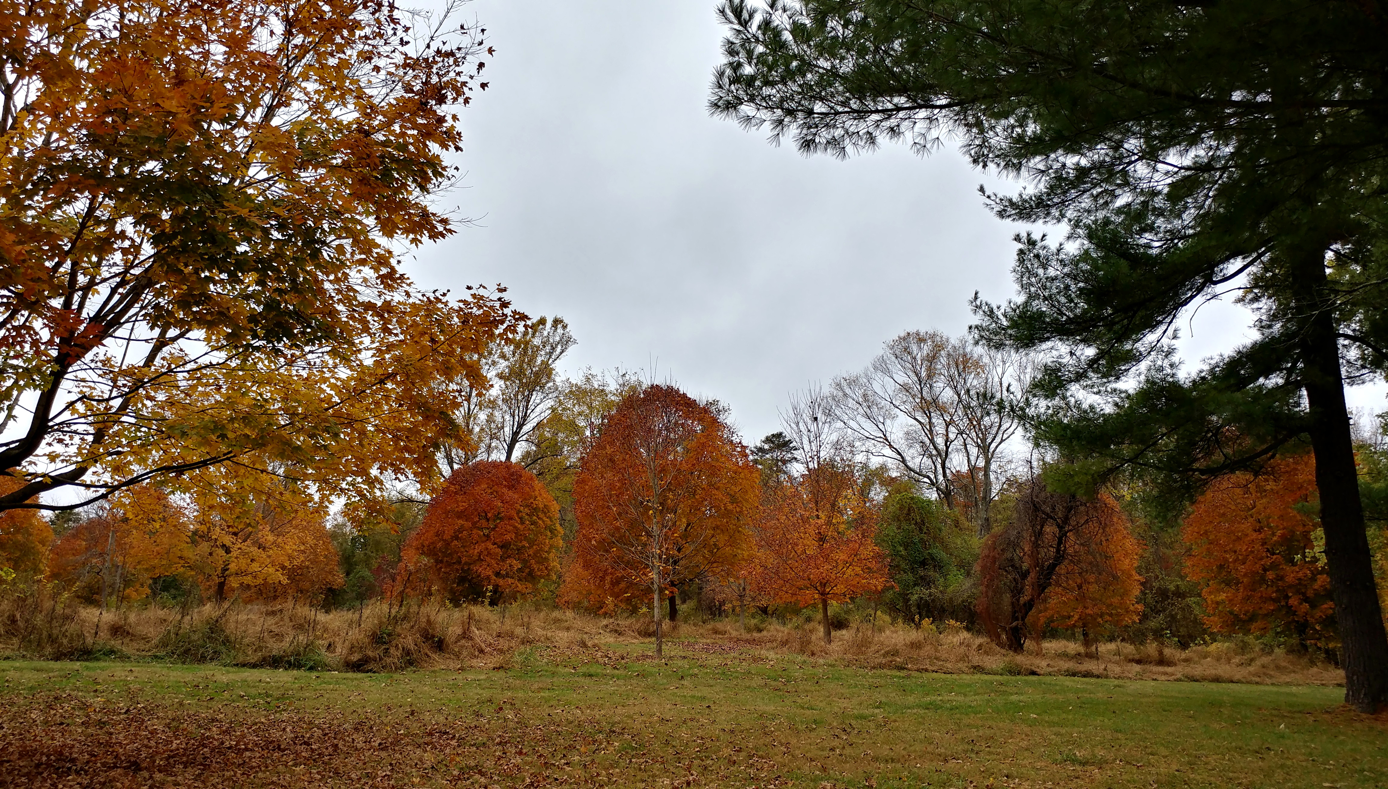 sunday11-3-2019-4ok.jpg