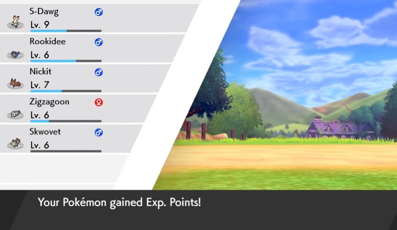 poke26.jpg