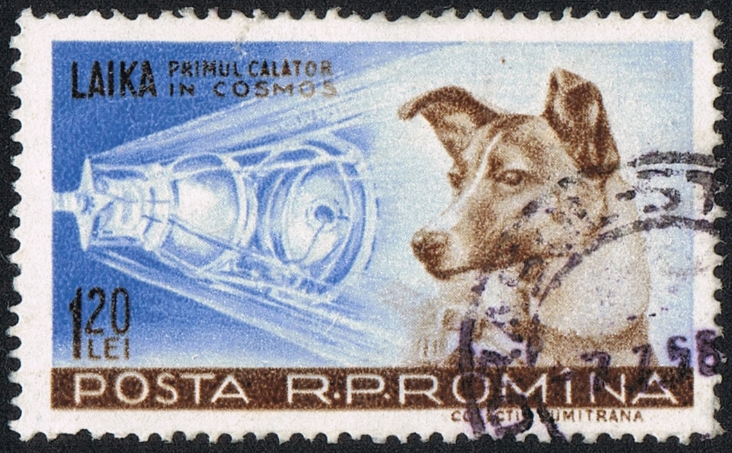 Posta_Romana_-_1959_-_Laika_120_B.jpg