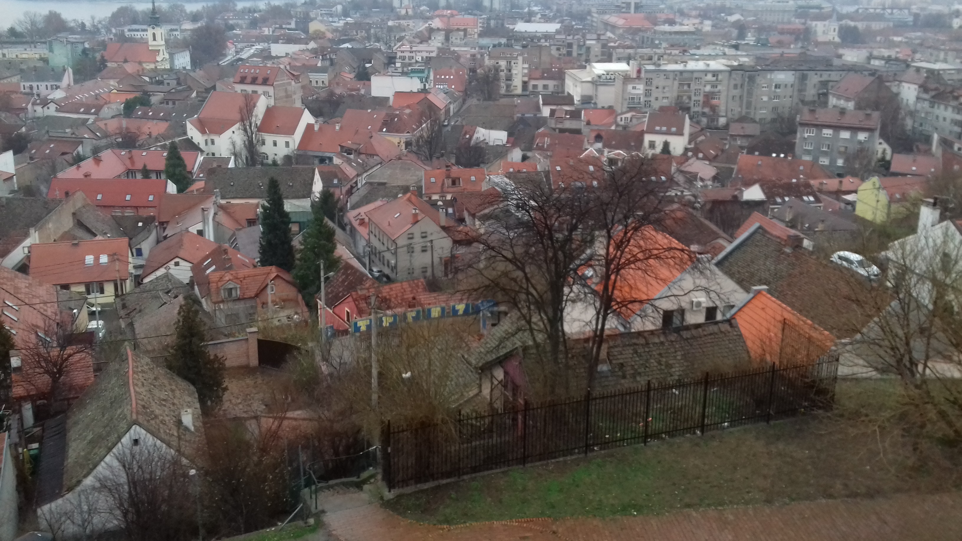 zemun3.jpg
