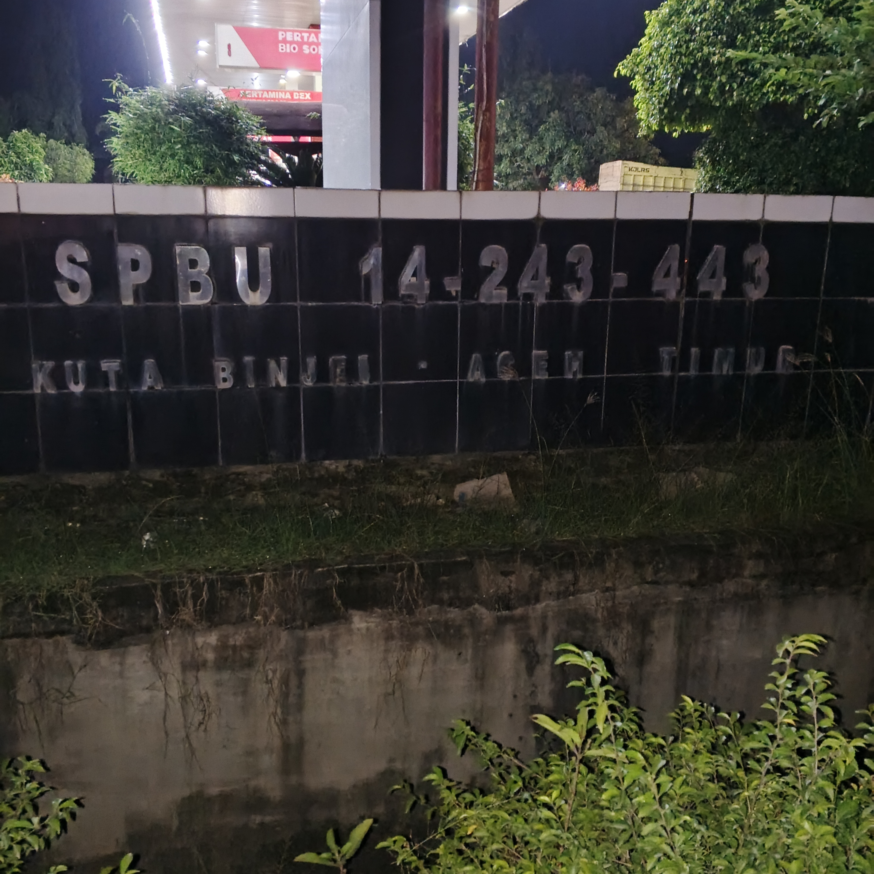 1000124237.jpg