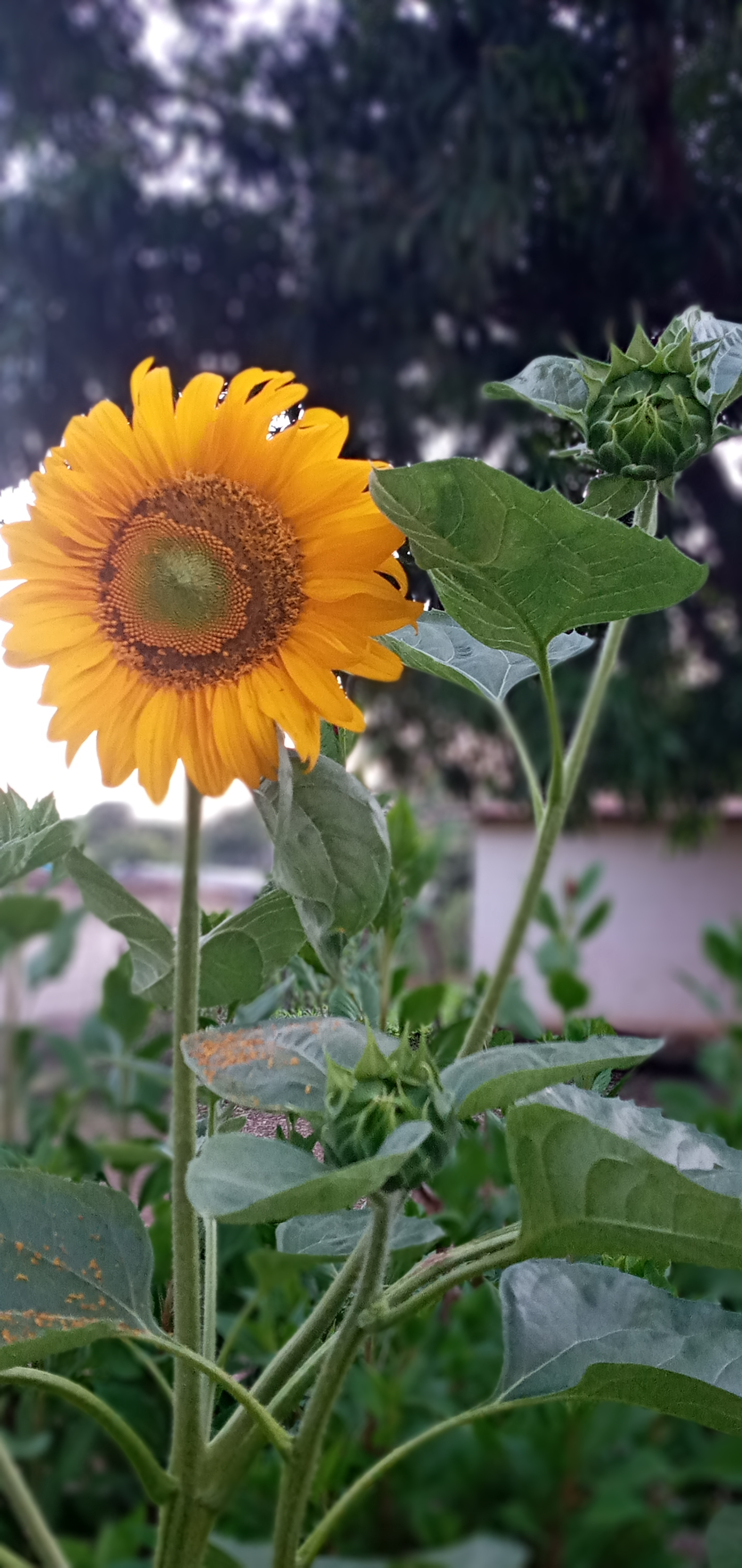 20210805_184739.jpg