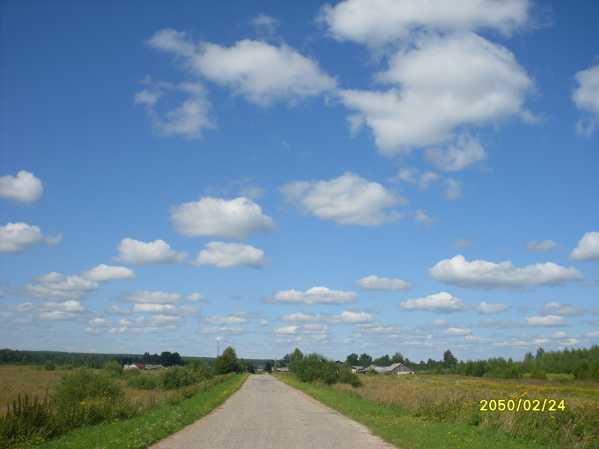 SDC10010 (2).JPG