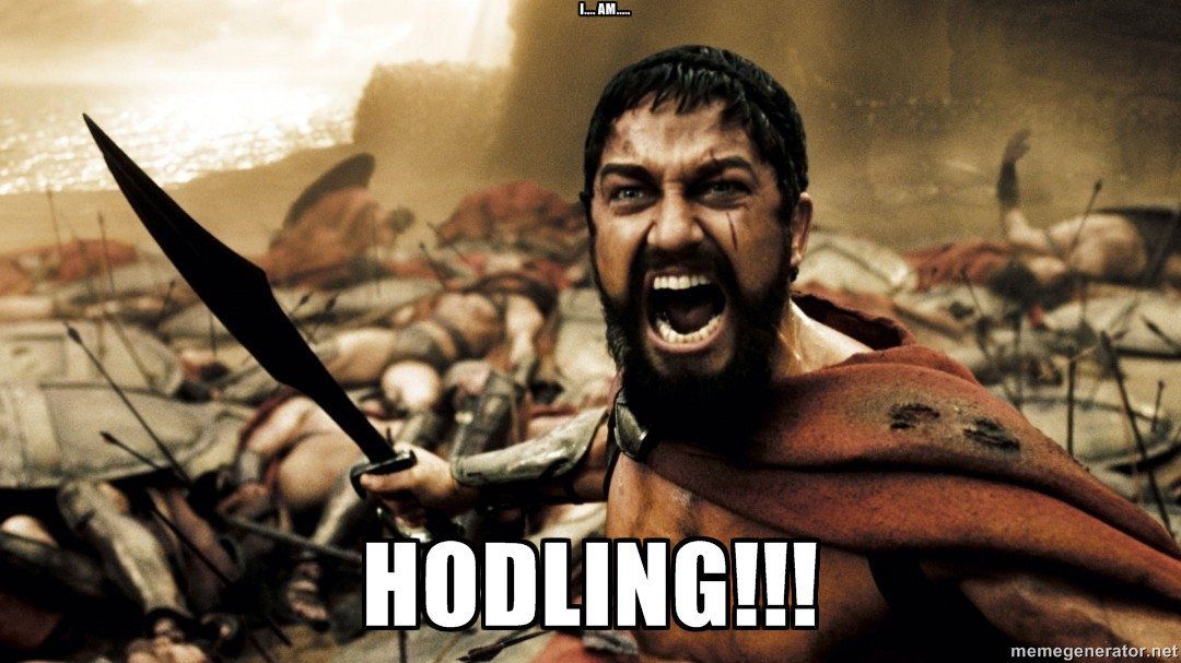 hodling-5bfd6cce46e0fb0026959ff8.jpeg