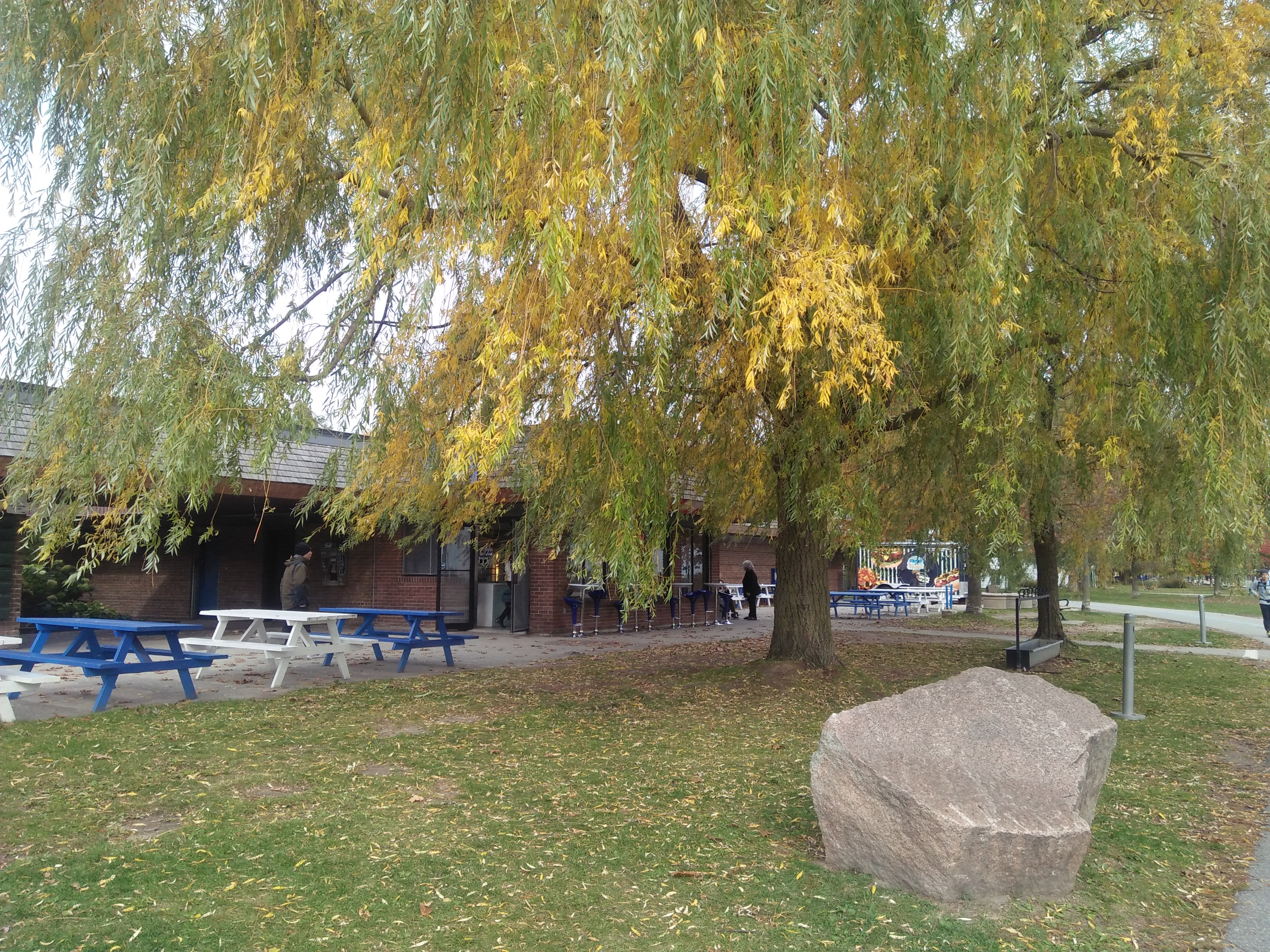 IMG20191027144556.jpg