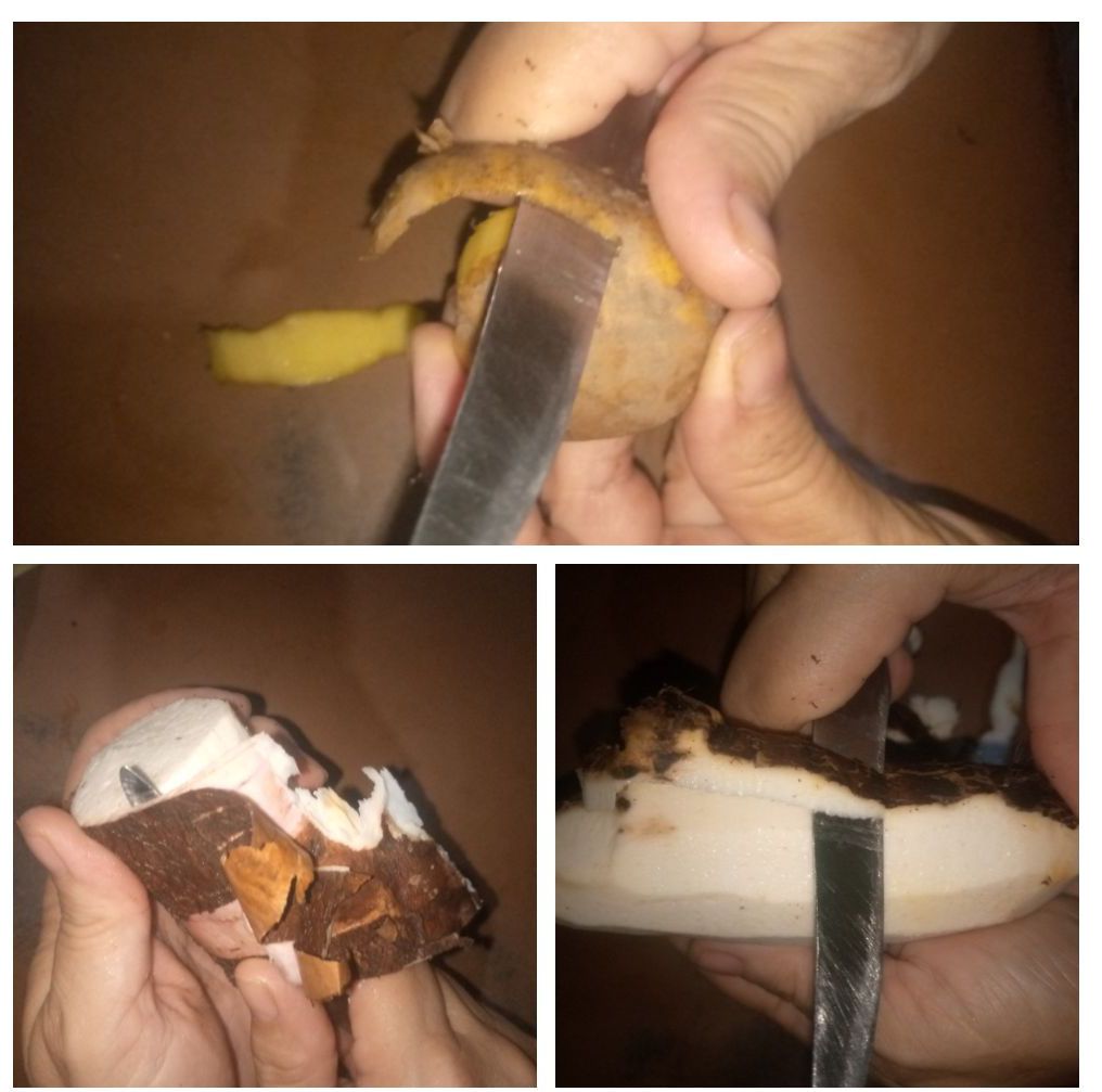 IMG_20260815_003002-COLLAGE~2.jpg