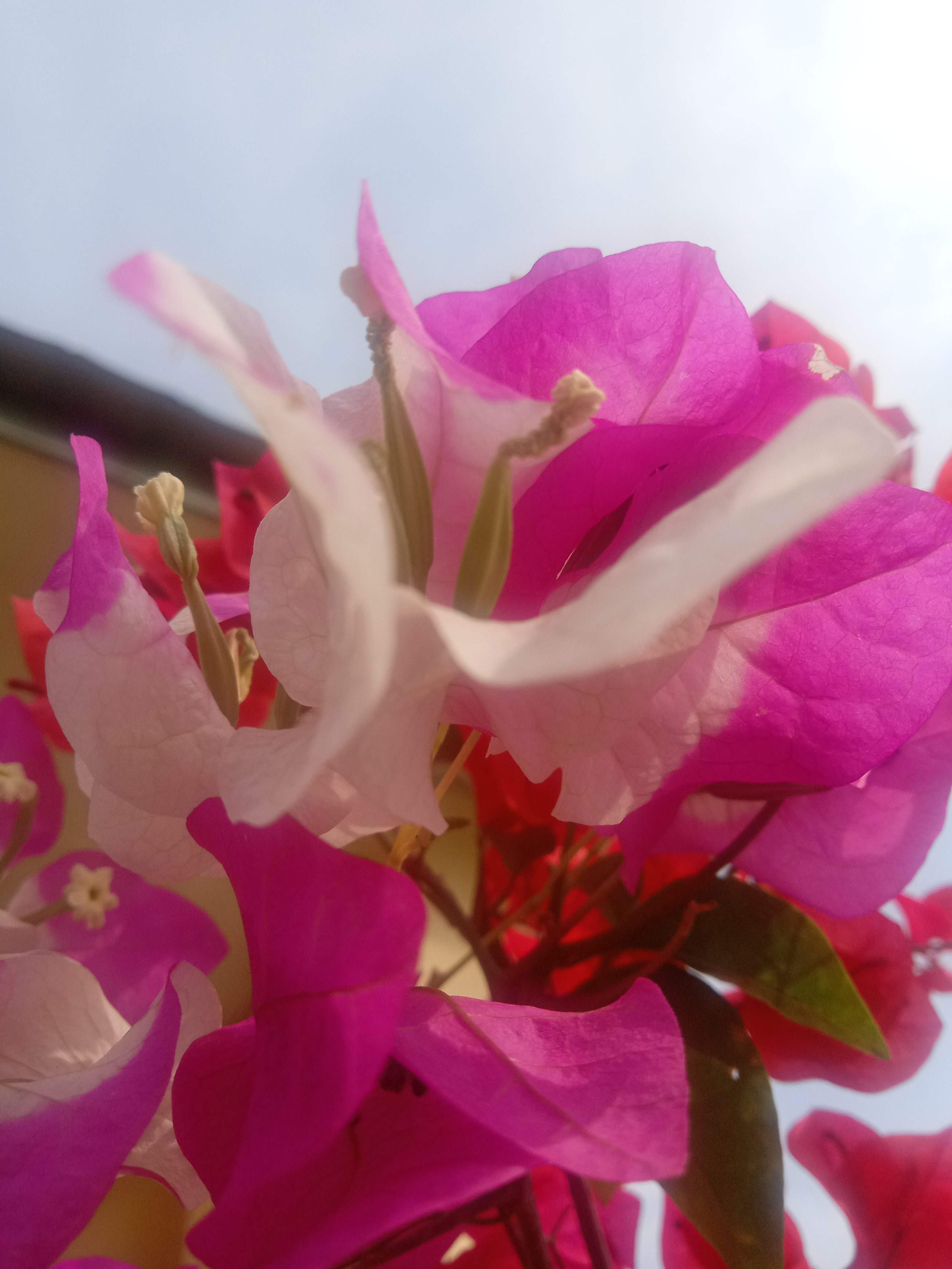 IMG20210603083950.jpg