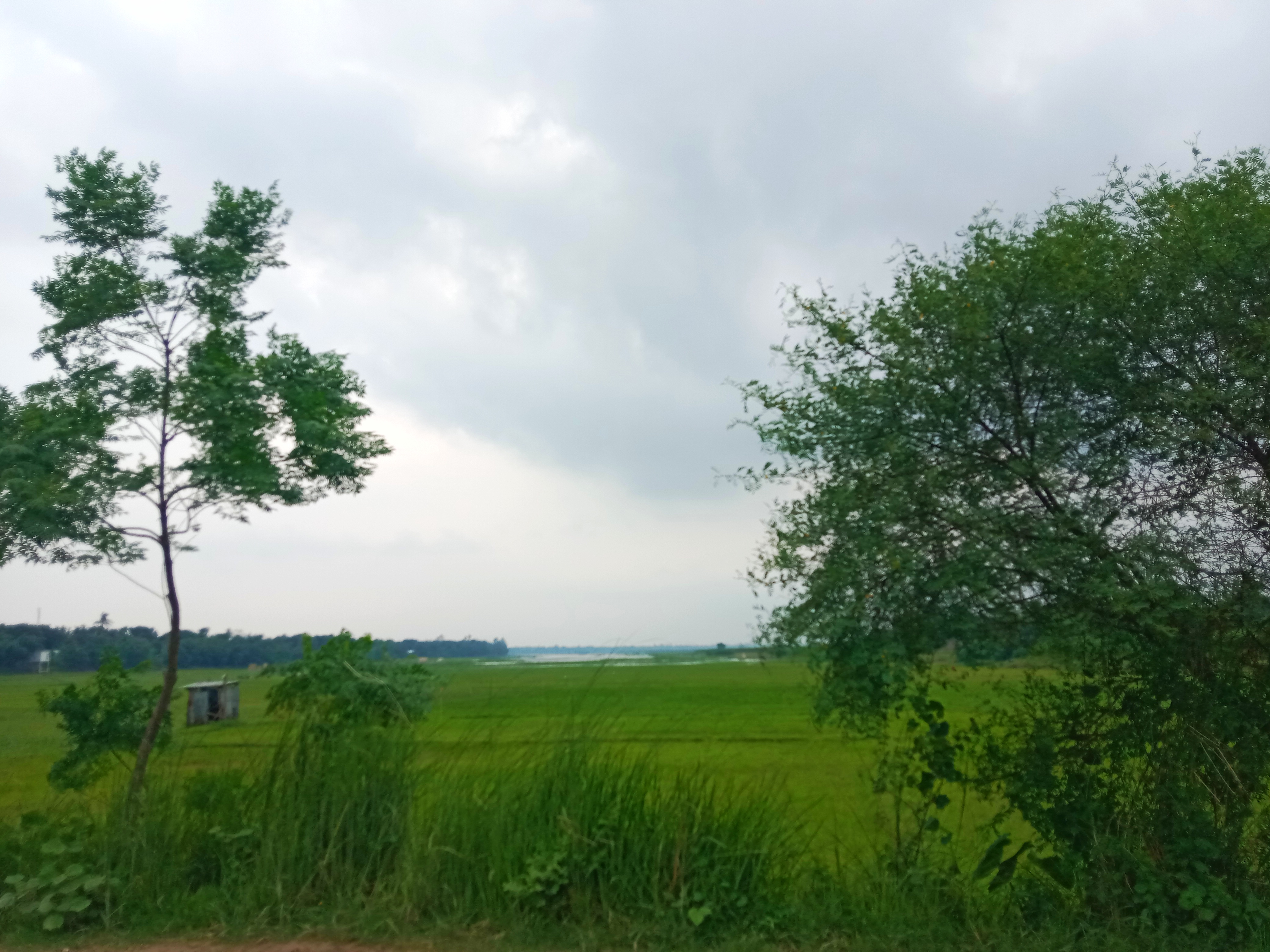 IMG_20260710_111658.jpg