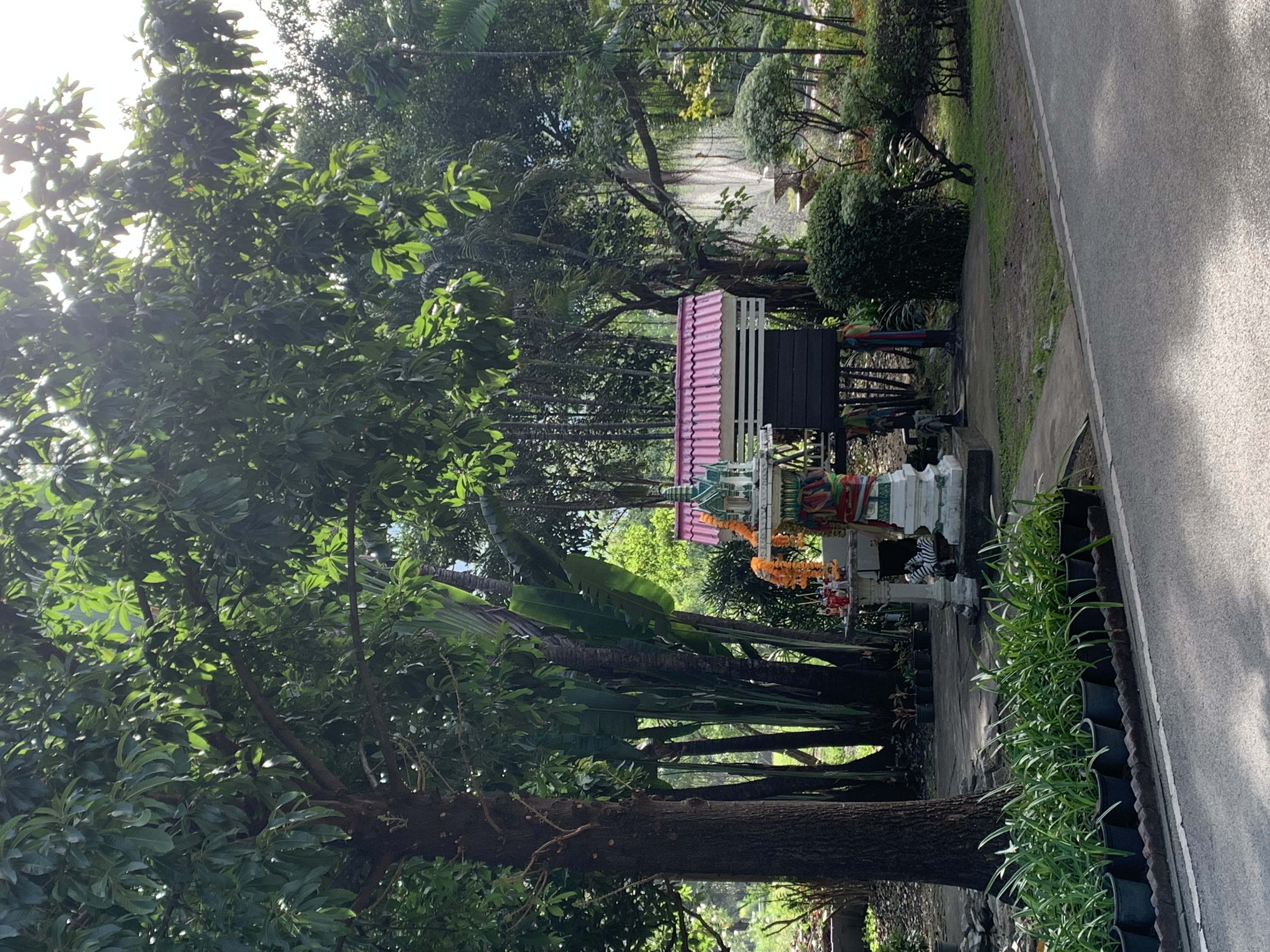 Suan Rot Fai1005.jpg