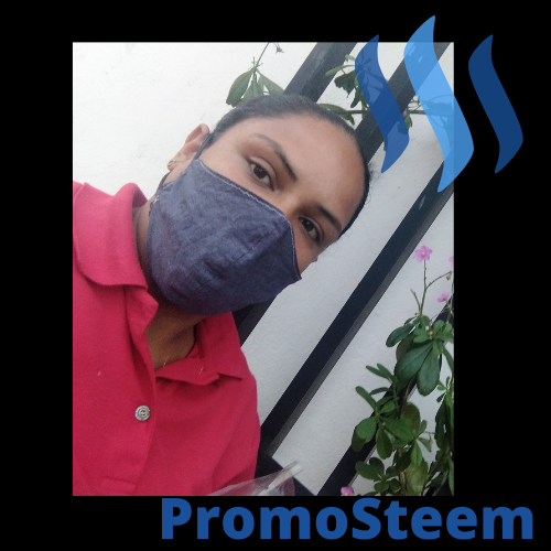 PromoSteem 📣.png