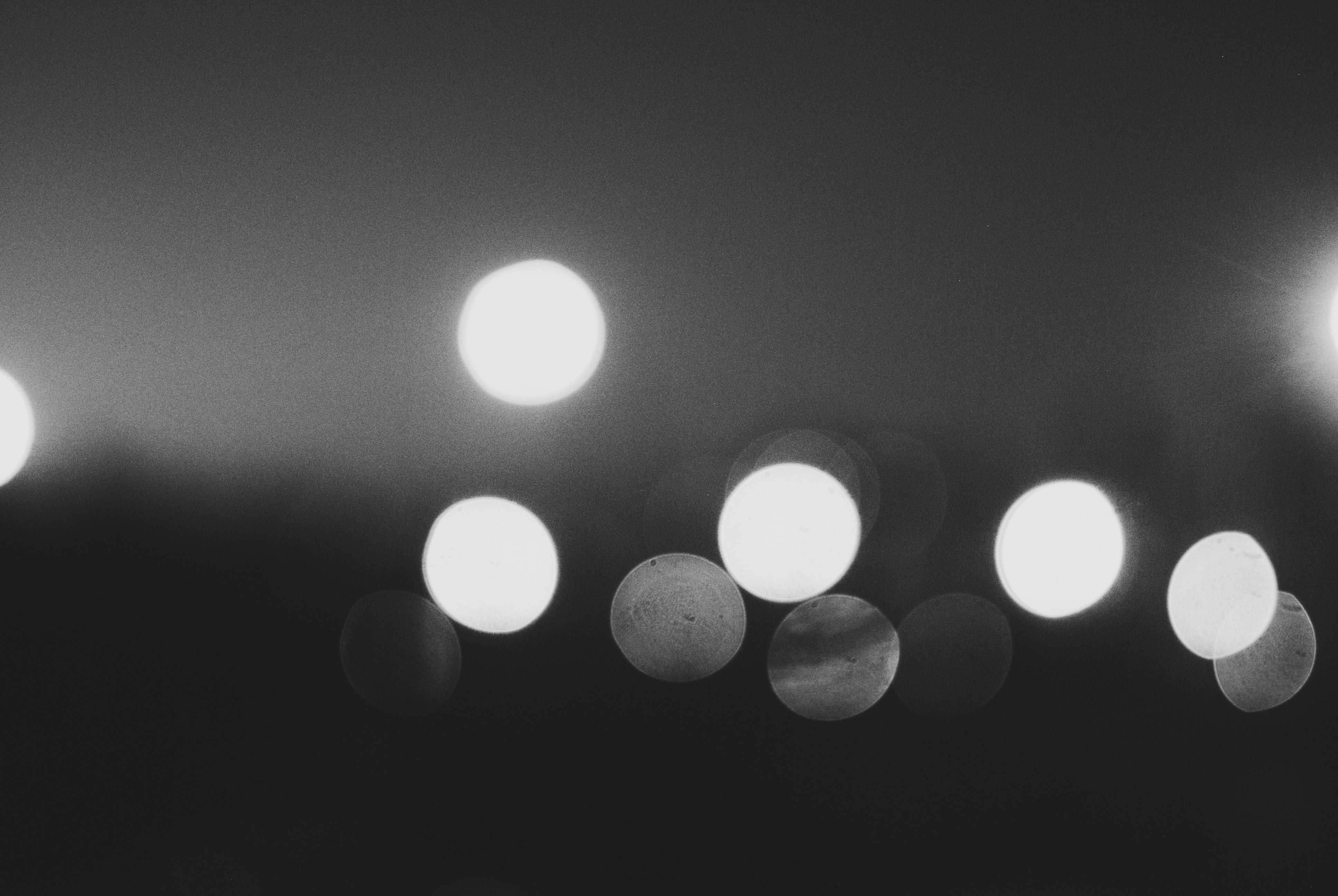 DSC_0684-01-01.jpeg