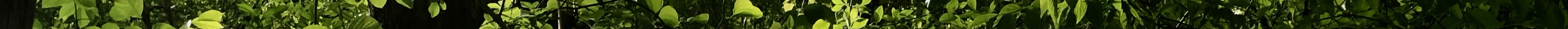 IMG_0186 2.jpeg