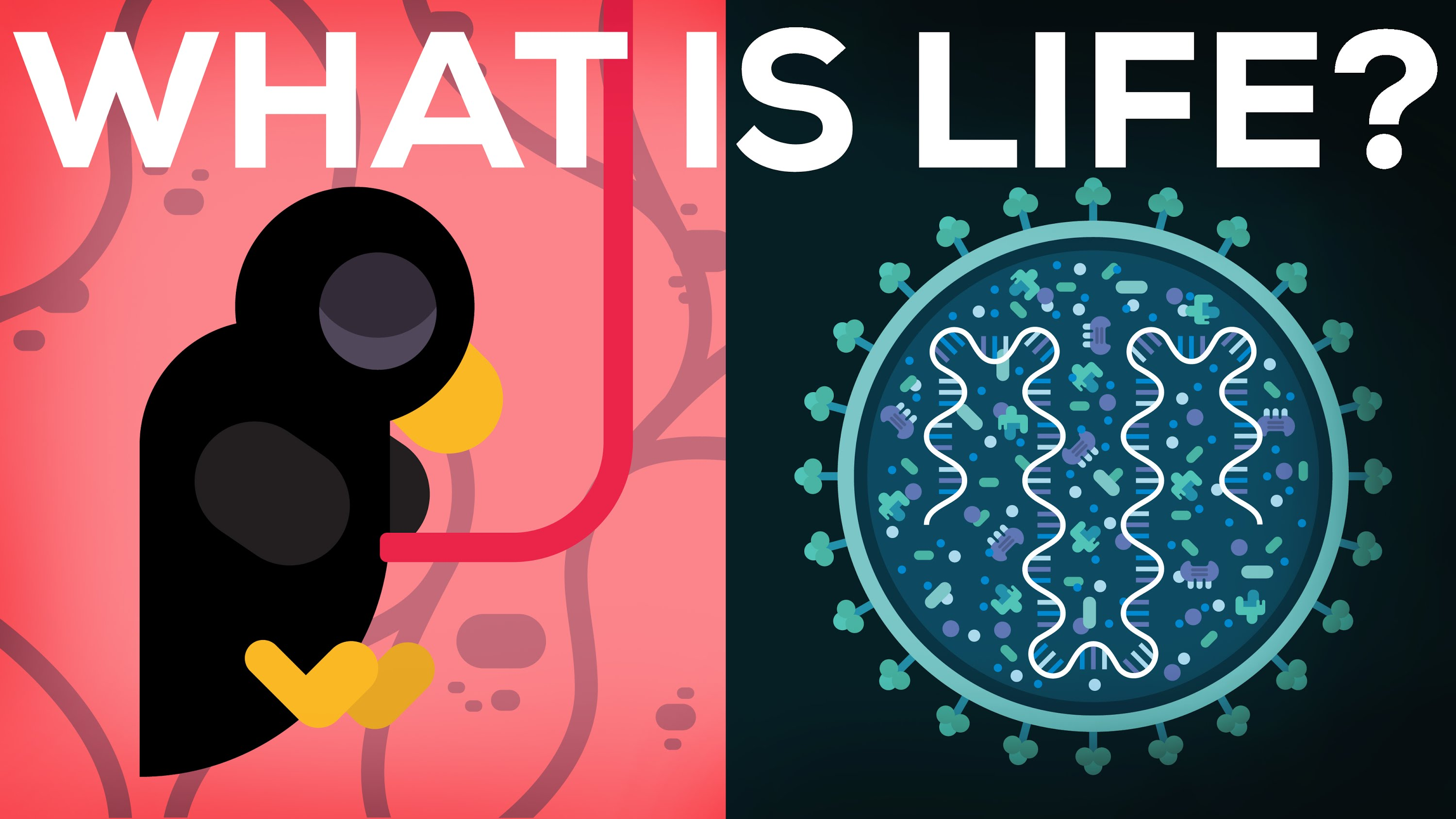 What is life. Kurzgesagt на русском.