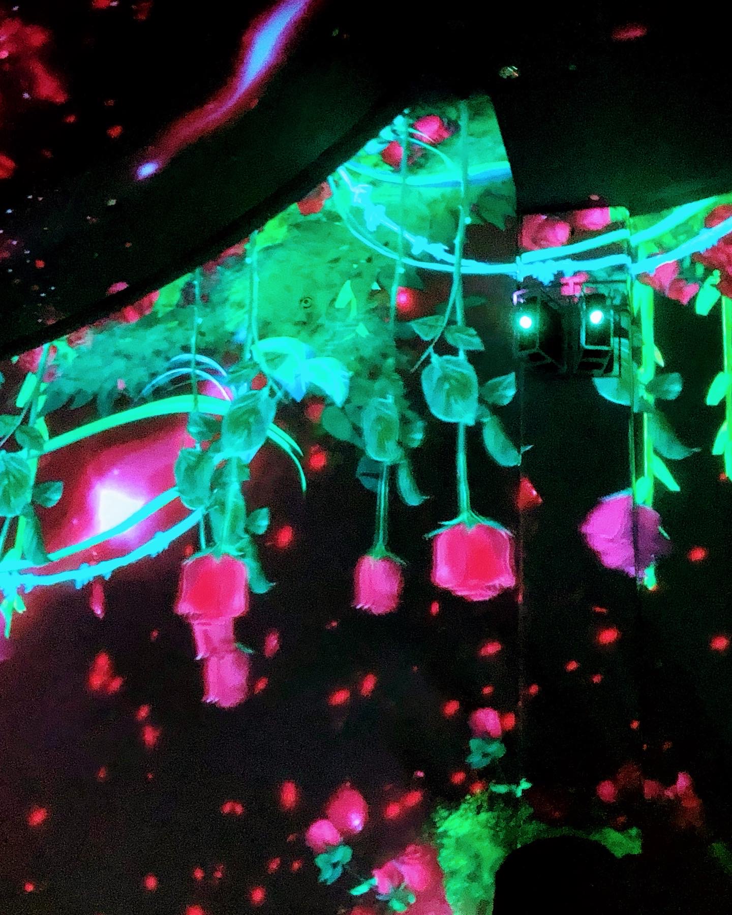 20364E07-CA04-46E0-9451-EB5E030544EE.jpeg