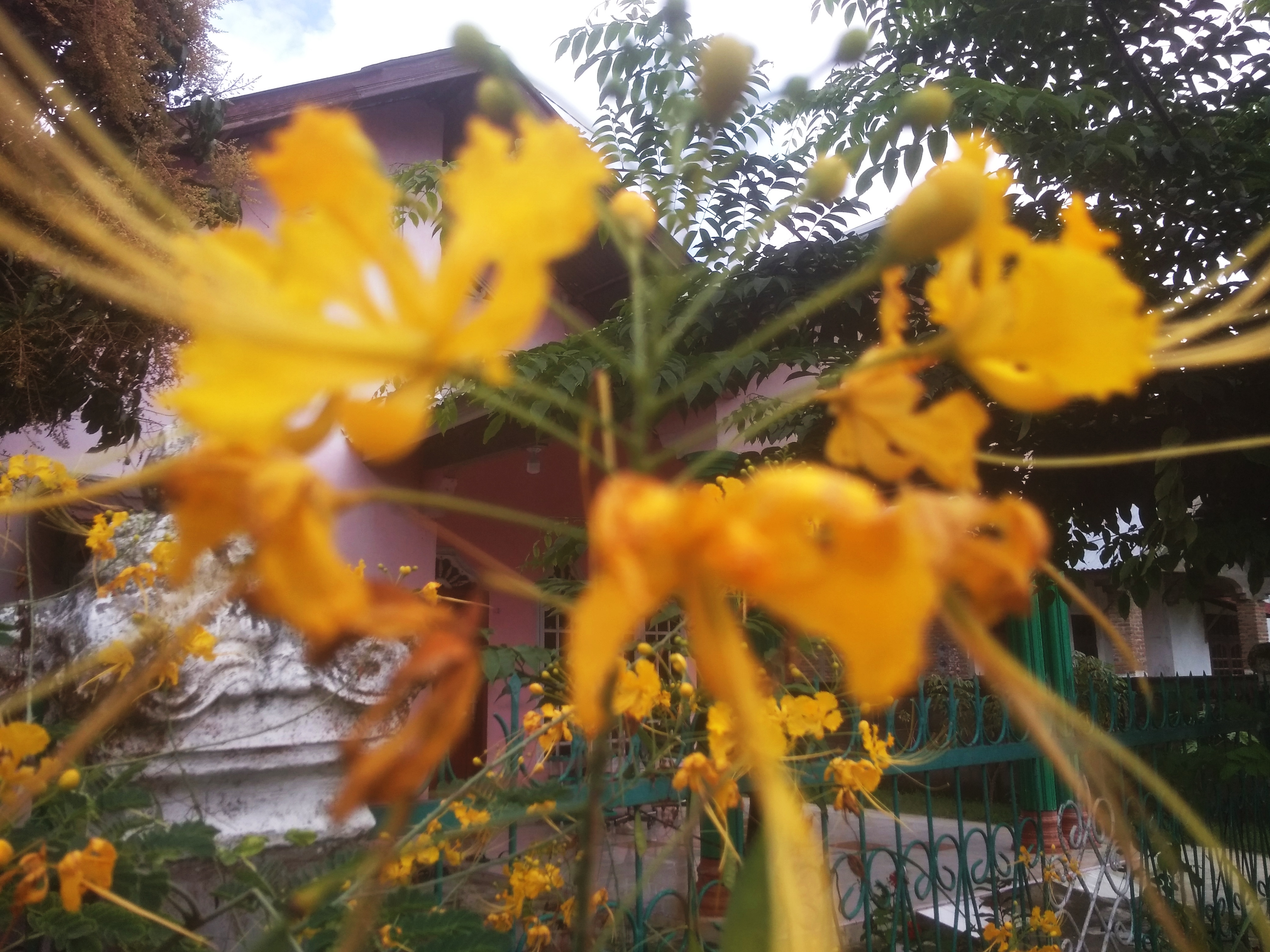 IMG_20220217_144515.jpg