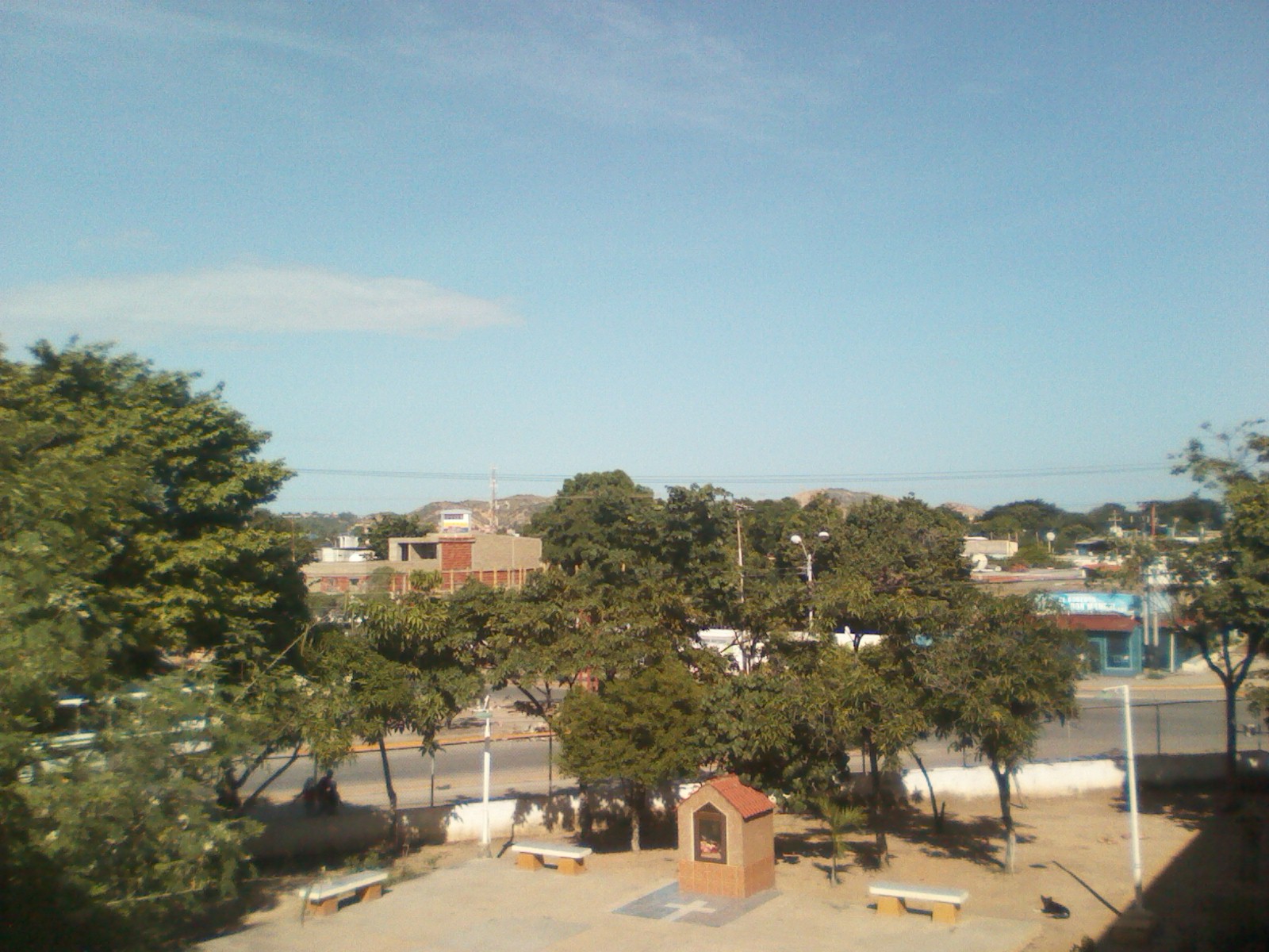 IMG_20201202_145302.jpg