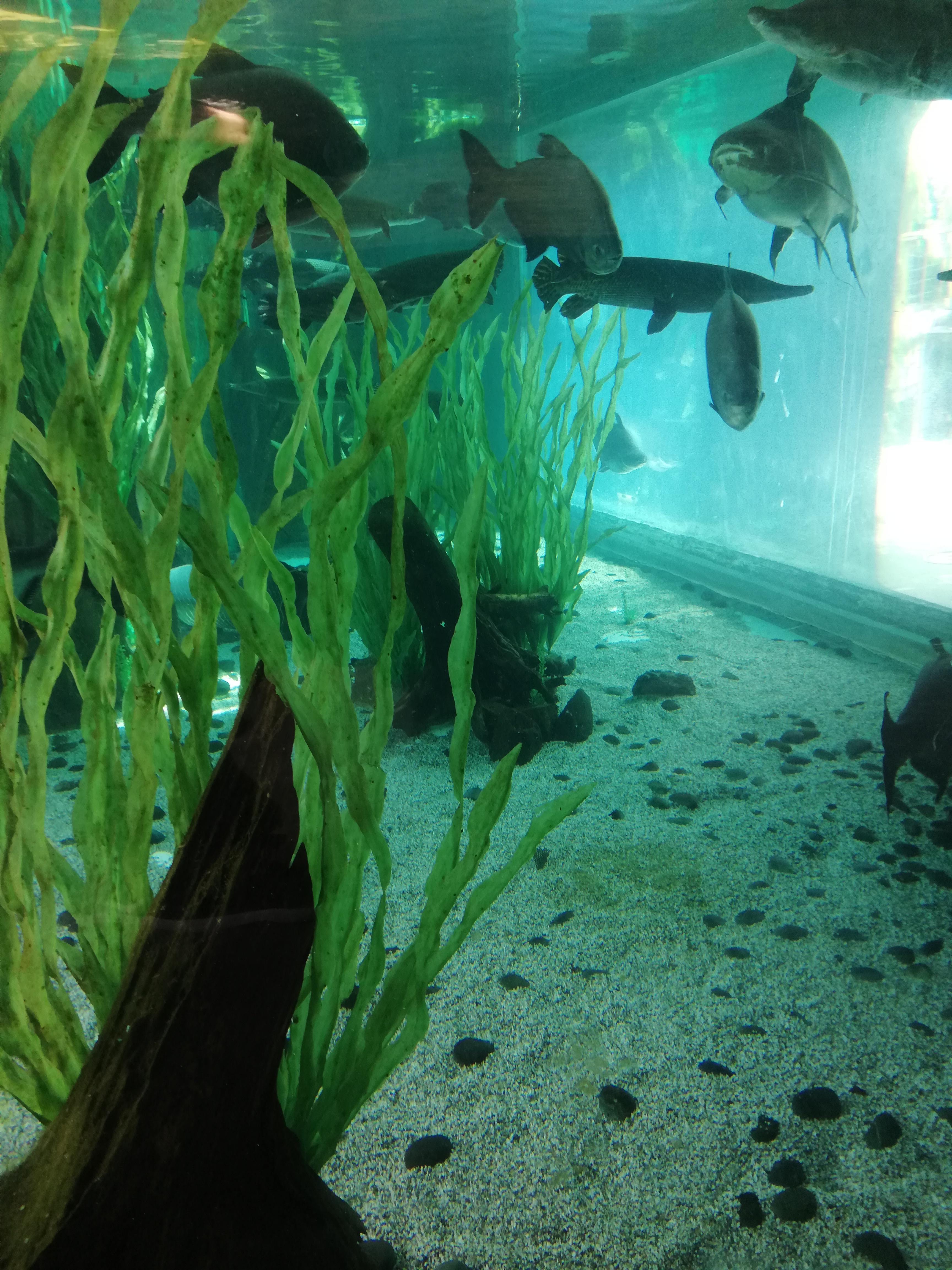 IMG_20210624_111257.jpg