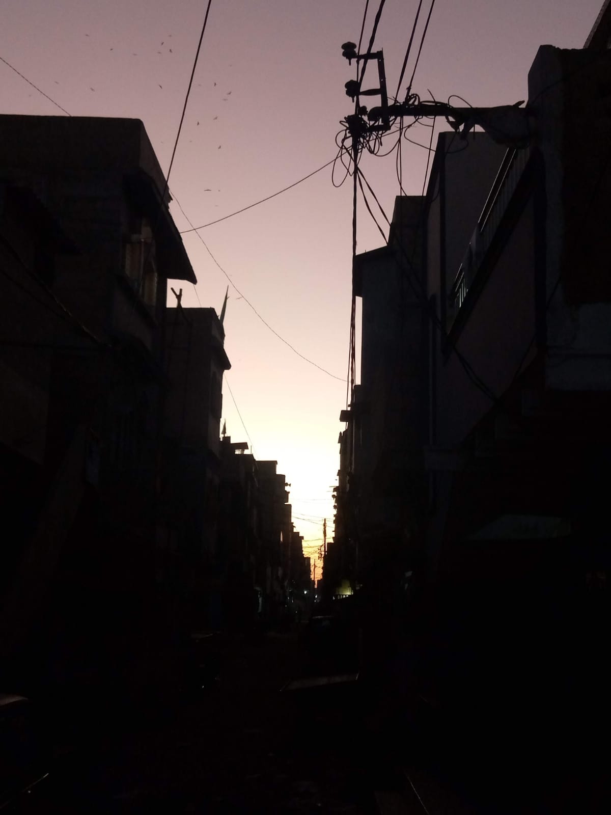 WhatsApp Image 2022-01-09 at 8.27.26 AM.jpeg