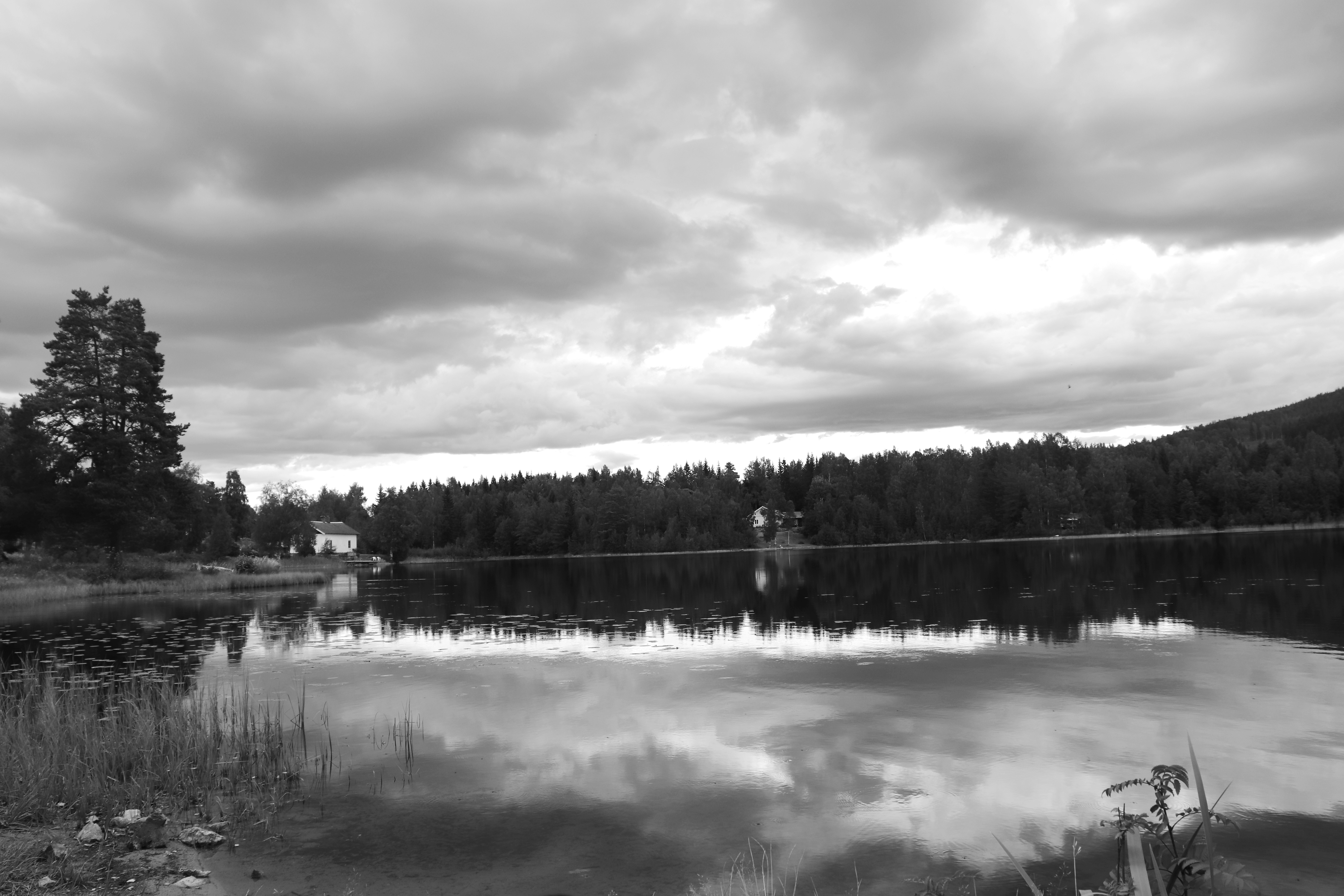 IMG_3108.jpg