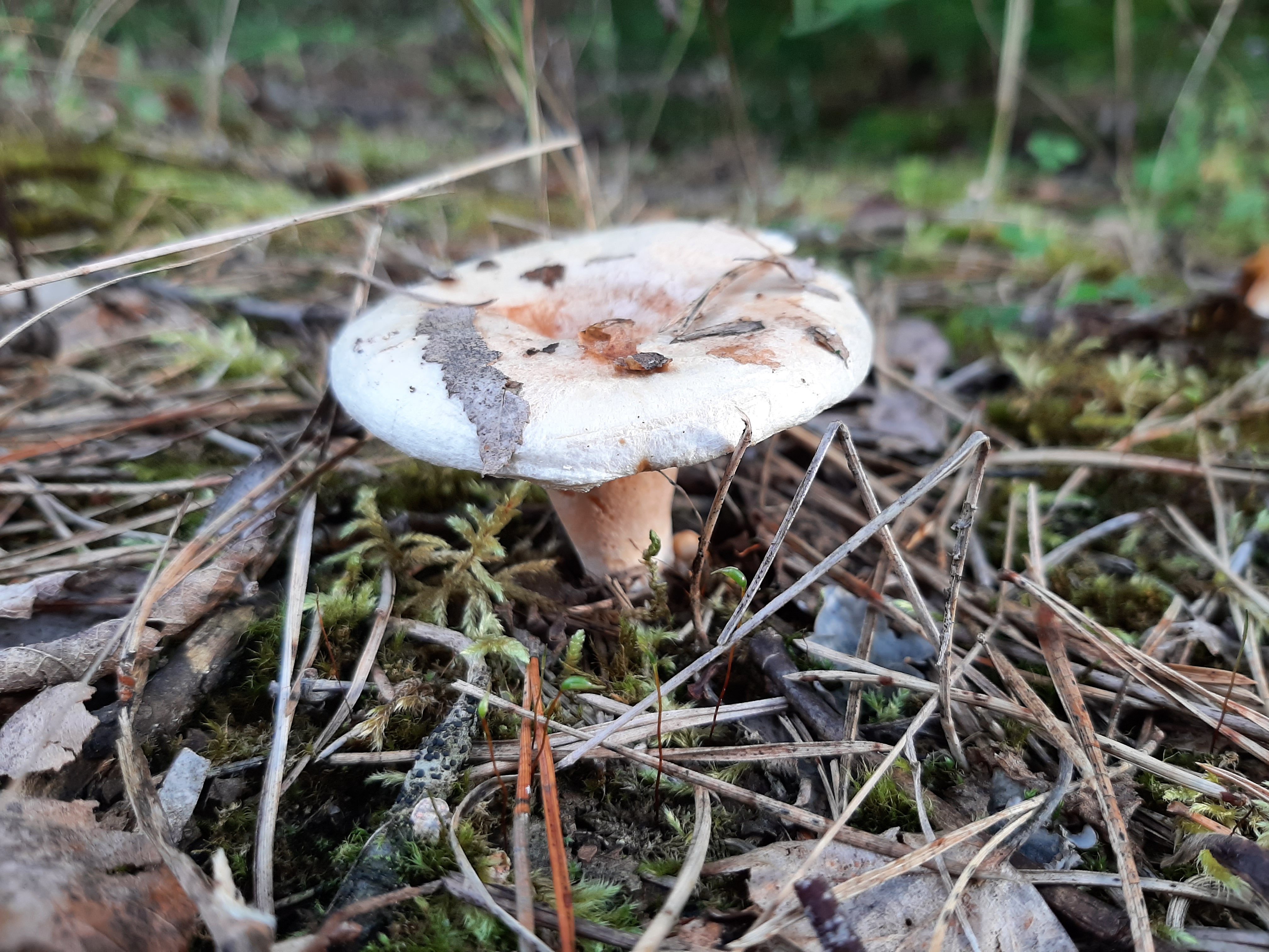 20260828_175106.jpg
