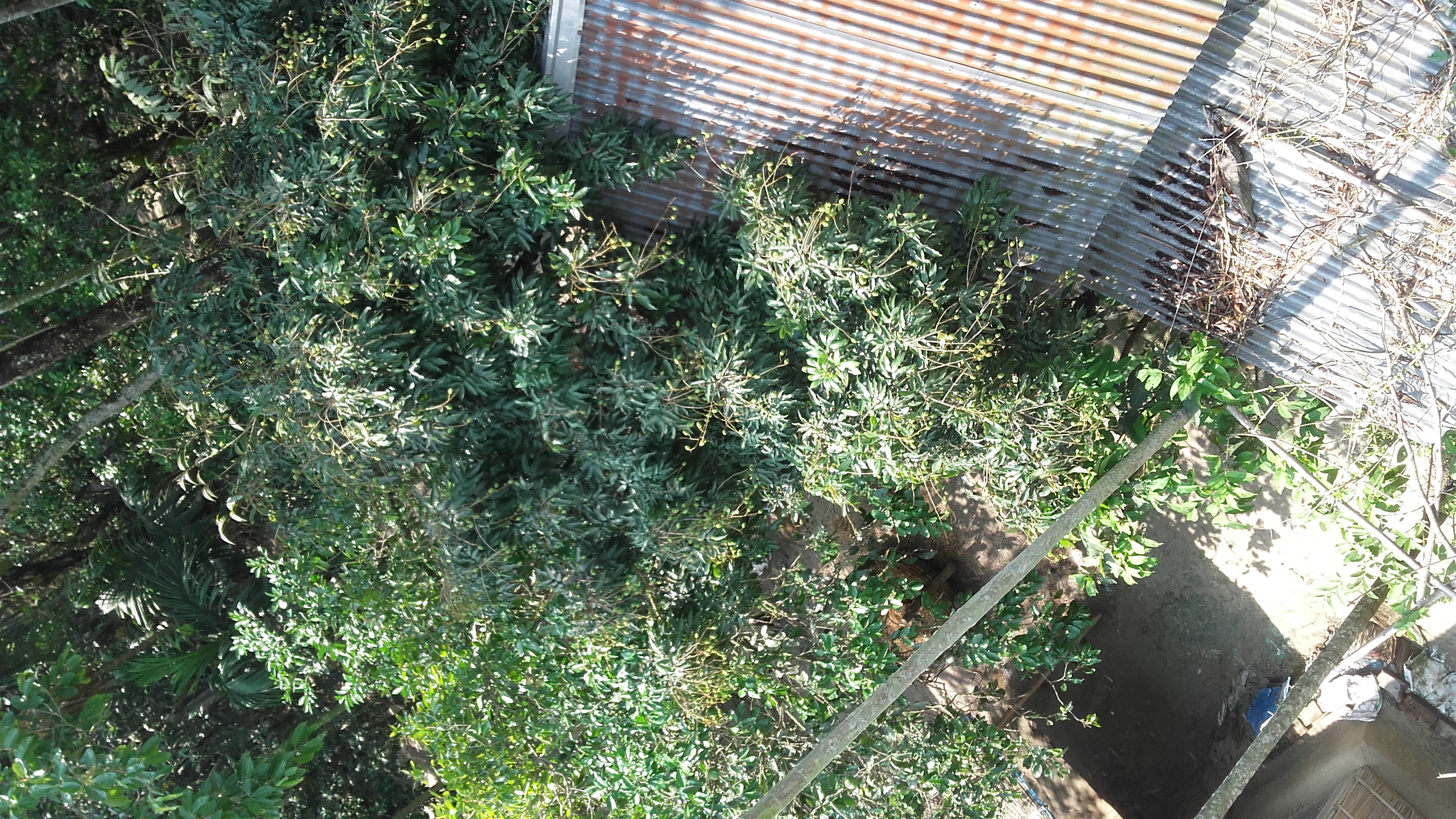 20180418_101402.jpg