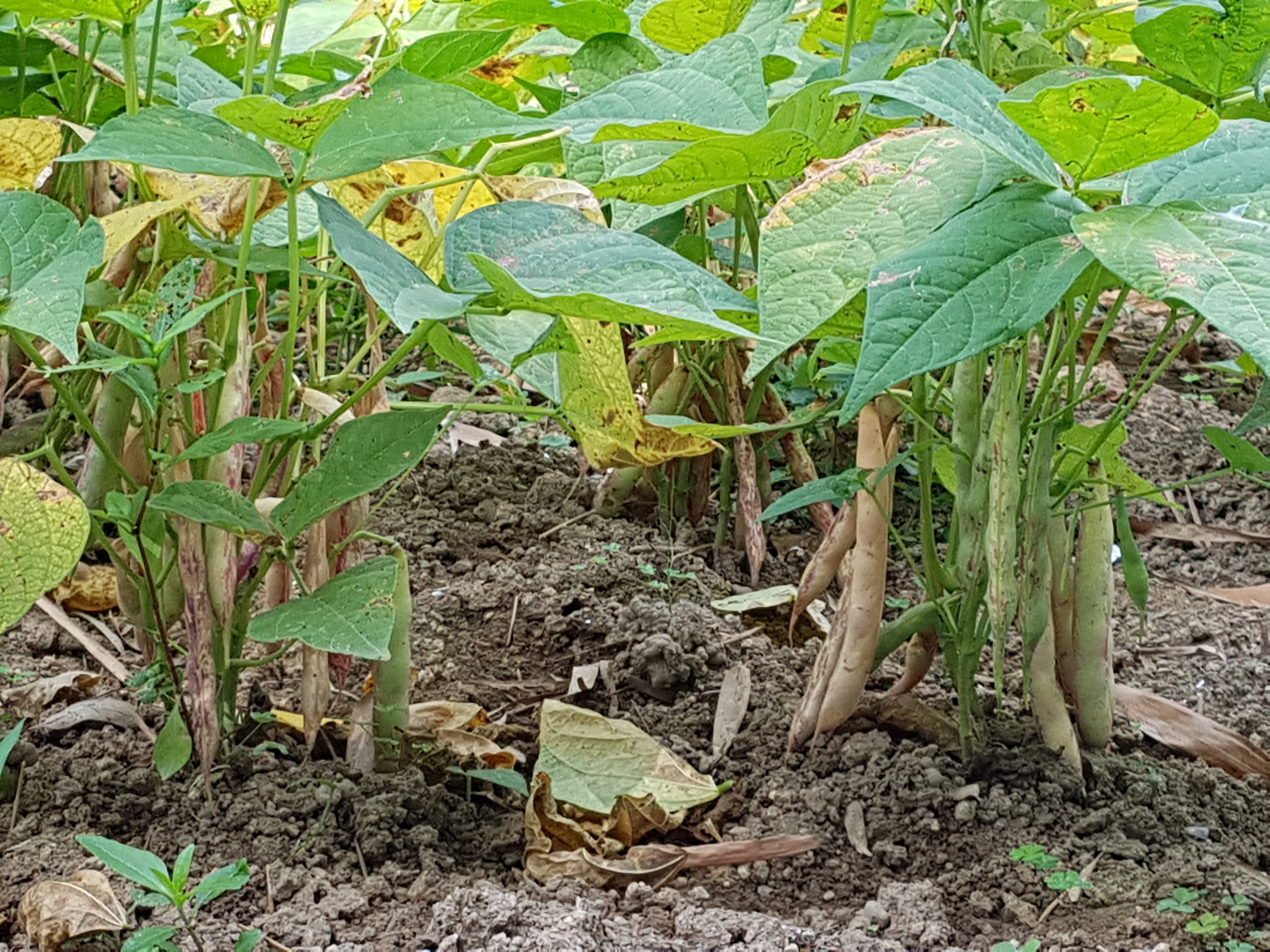 20180622_091423.jpg