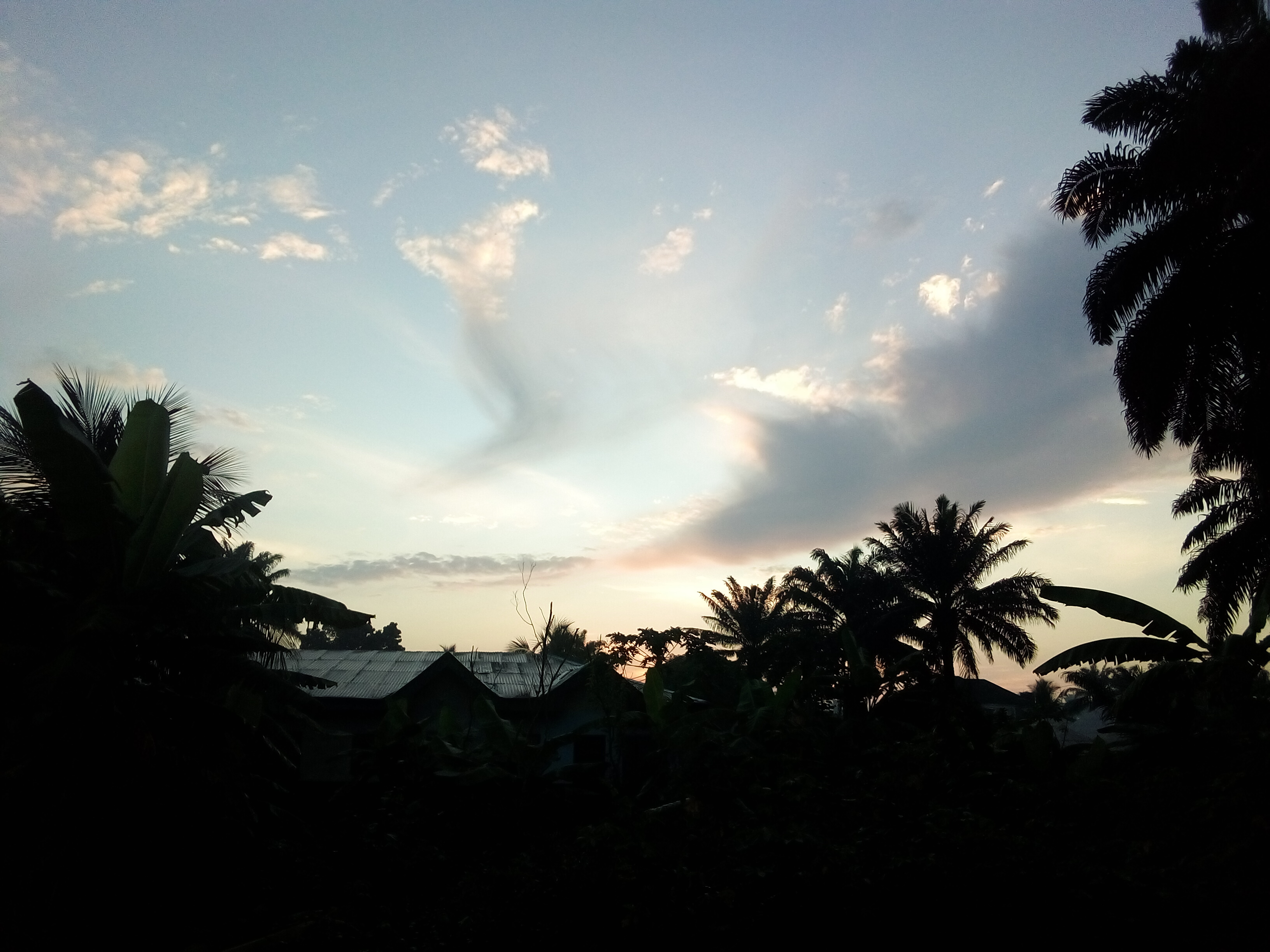 IMG_20260520_061416_289.jpg