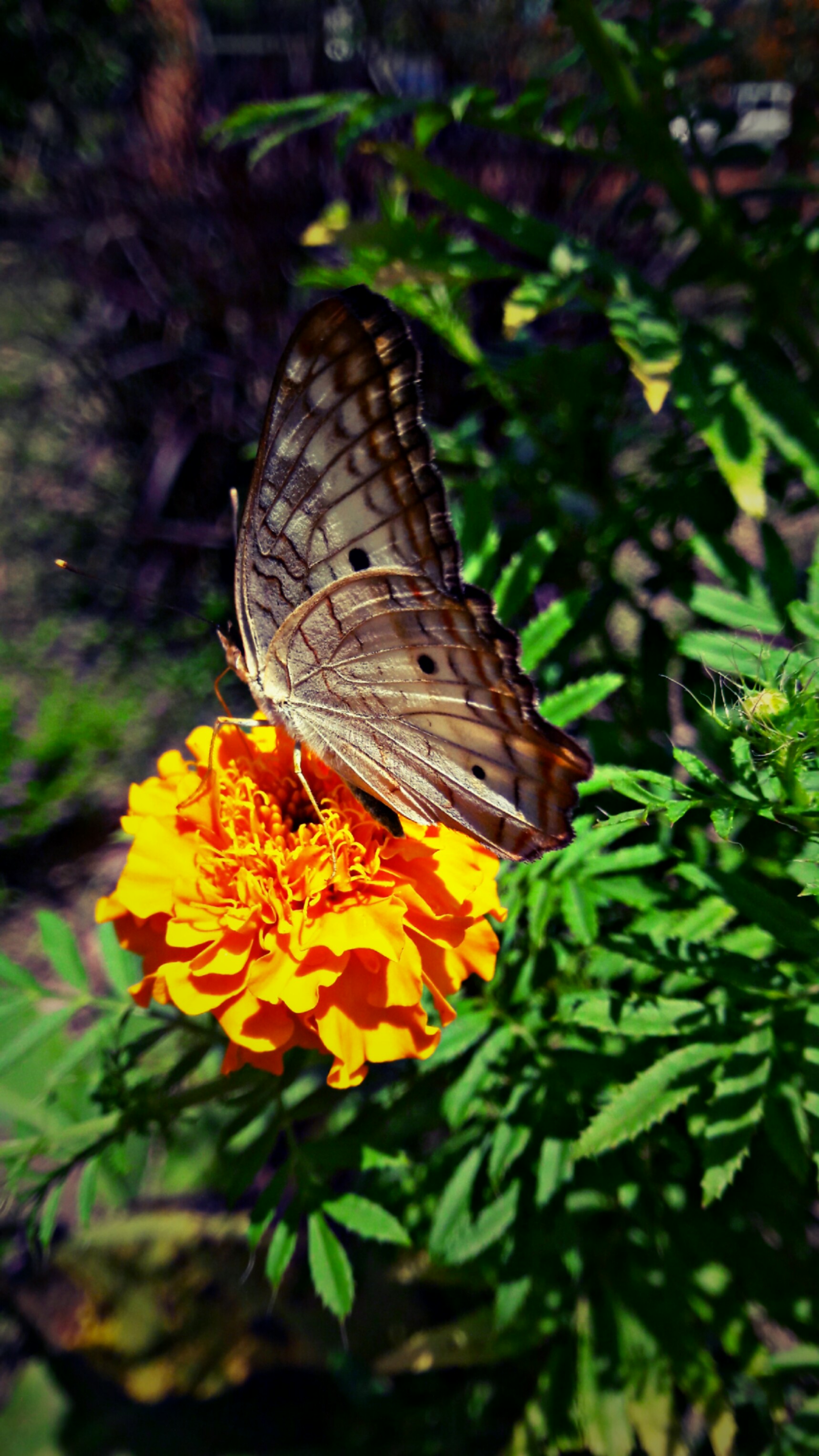 PicsArt_08-16-04.35.44.jpg