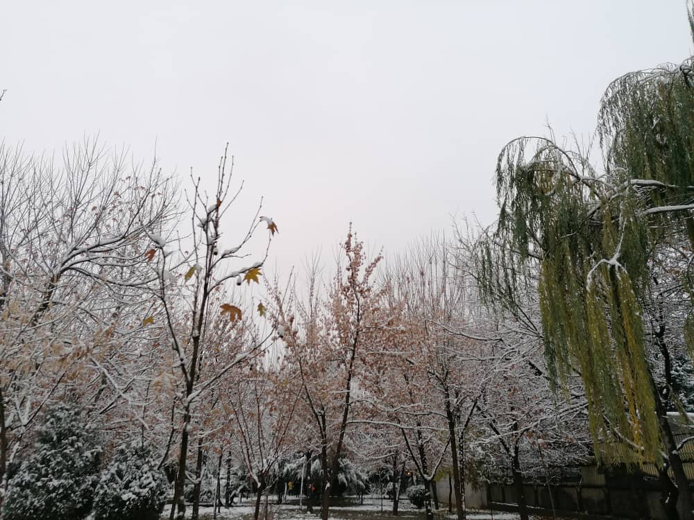 imagepark123 (18).jpeg