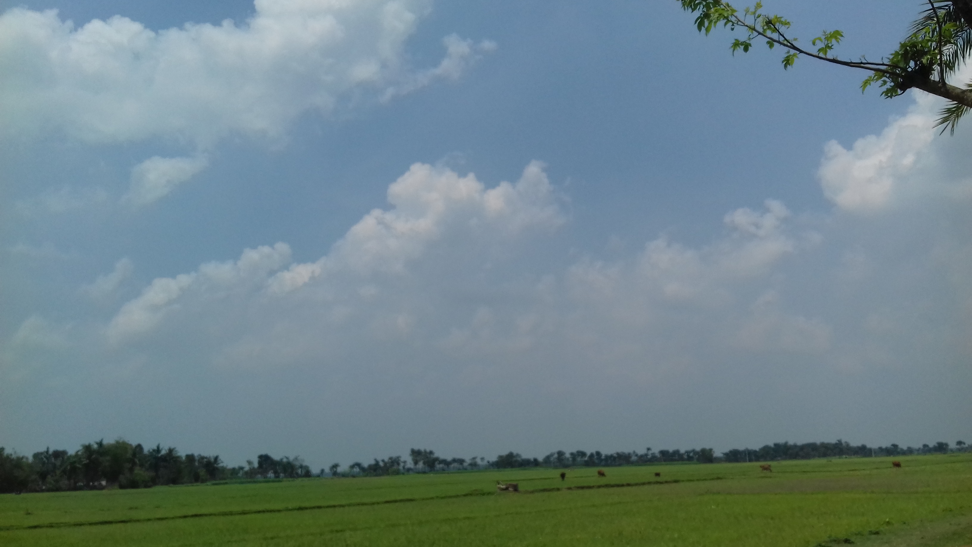 20200606_131219.jpg