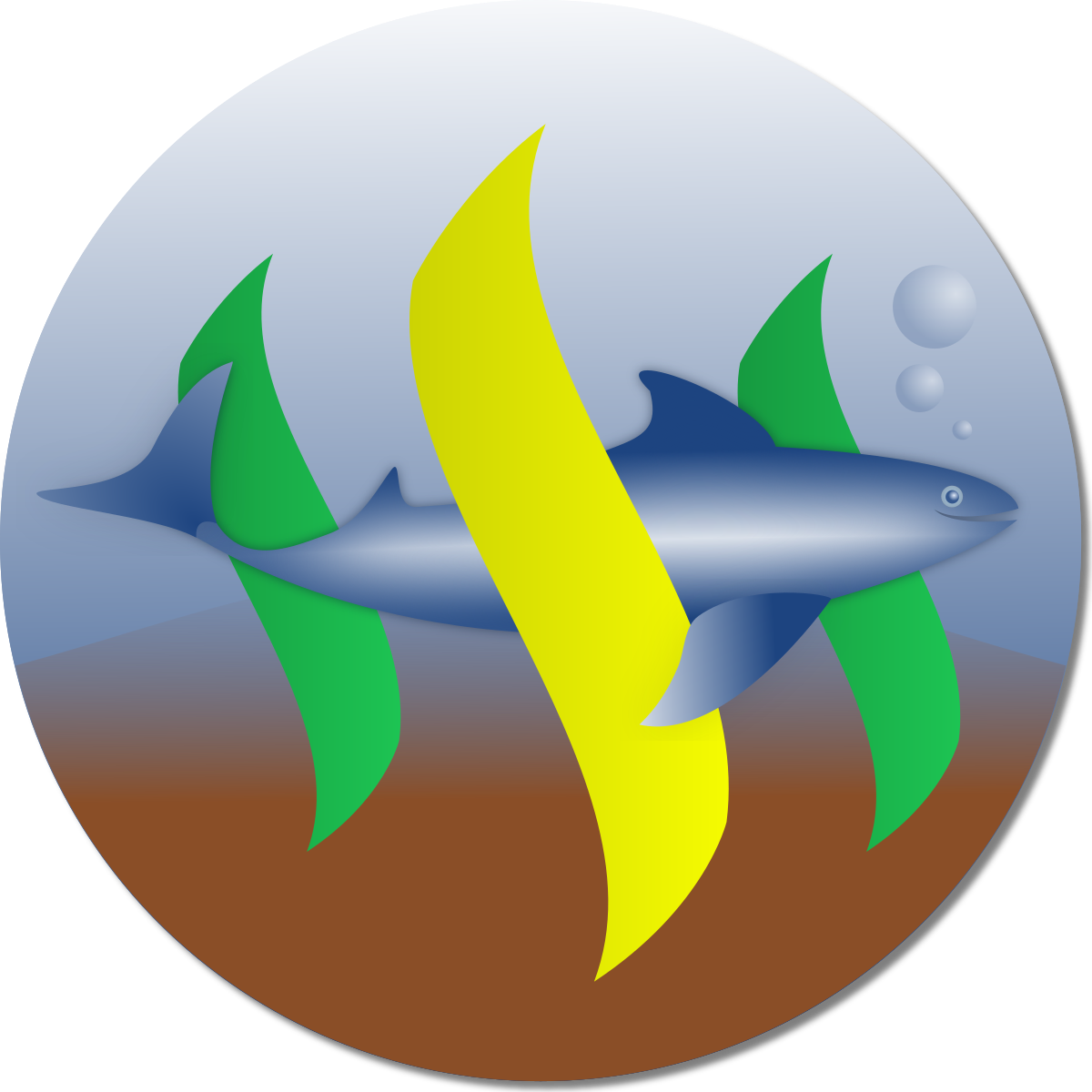 logo_msp_brasil.png