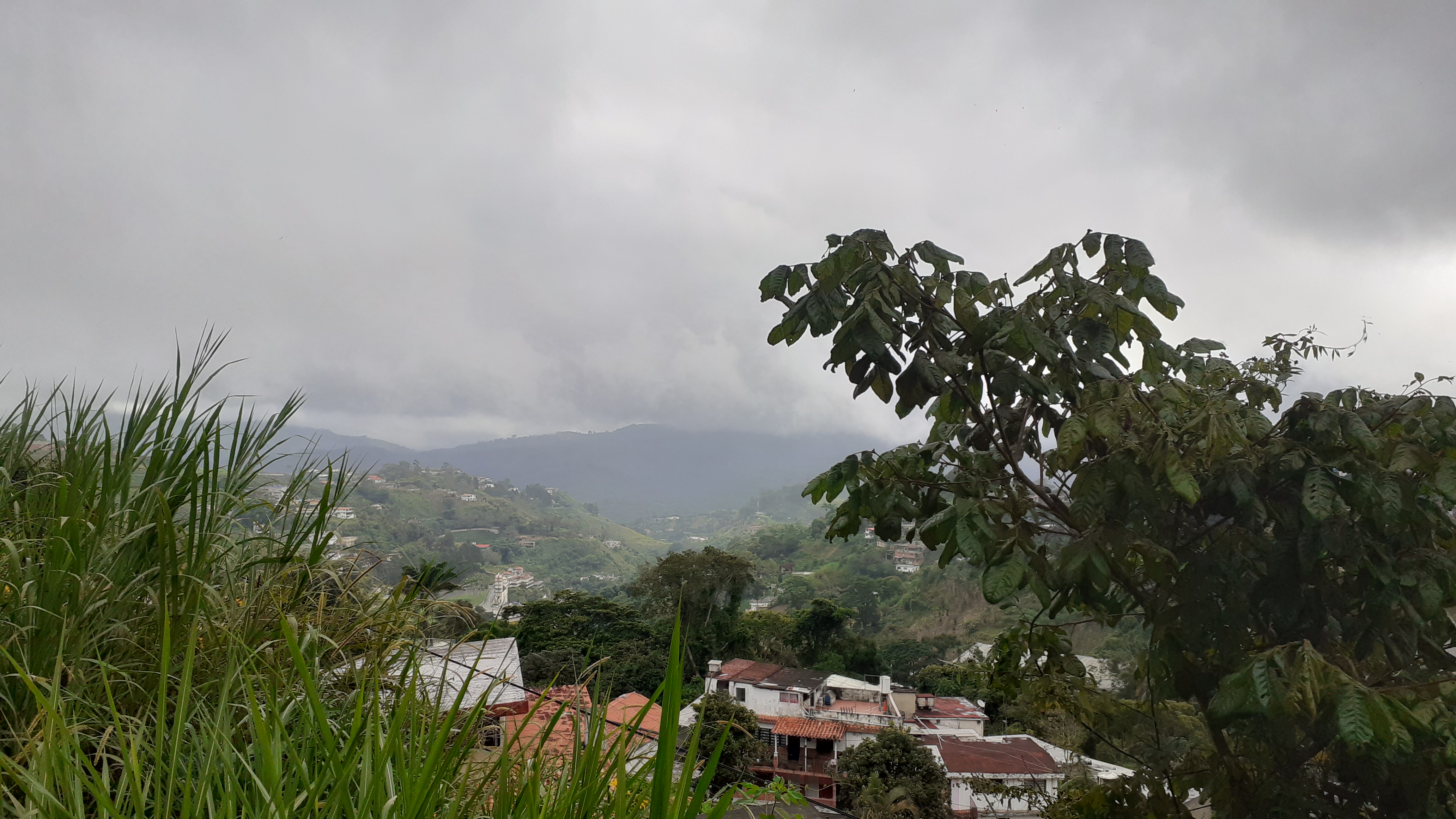 20201101_093935.jpg
