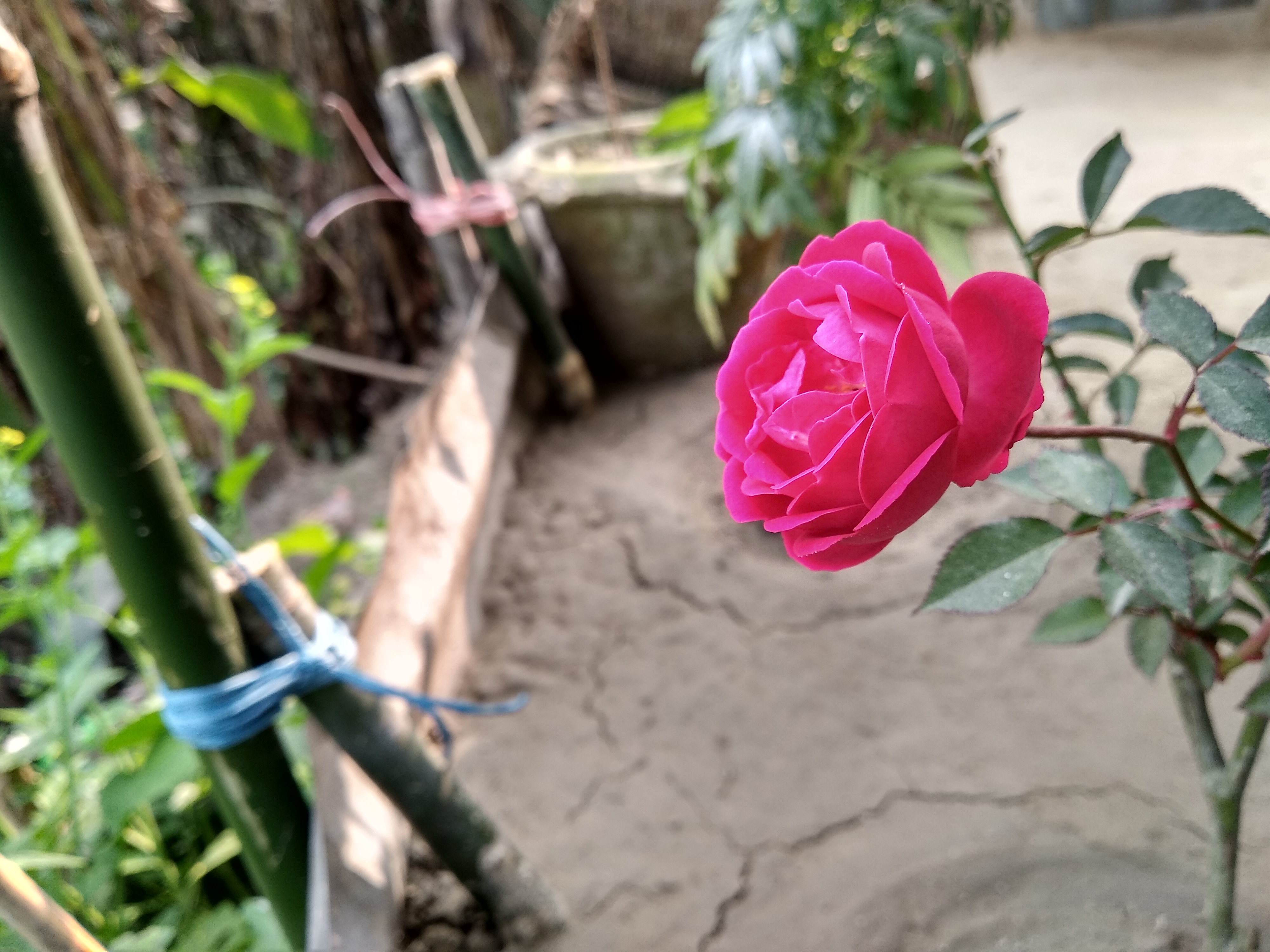 IMG_20190104_141009_HDR.jpg