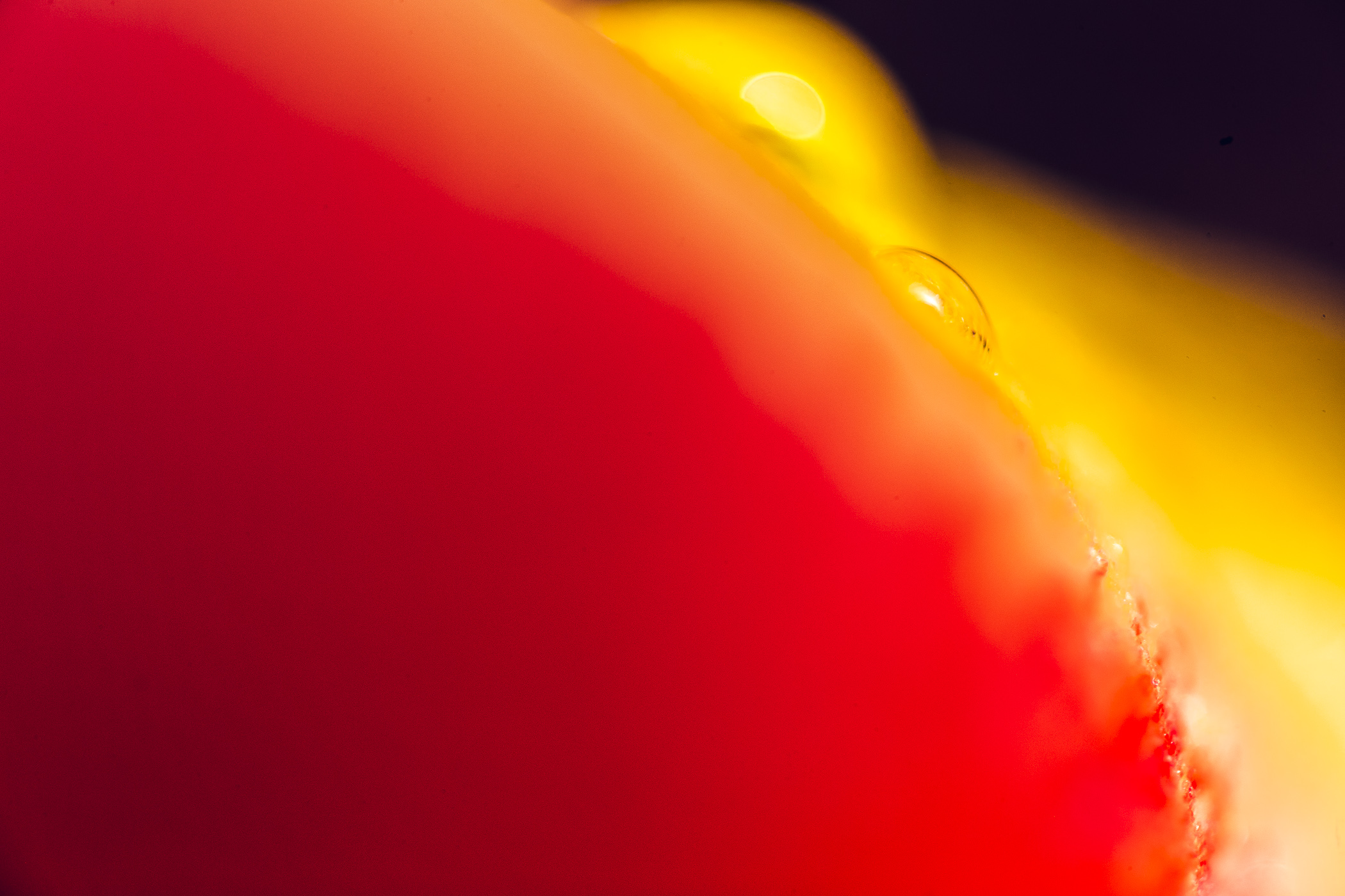 2021_04_16_425160.jpg