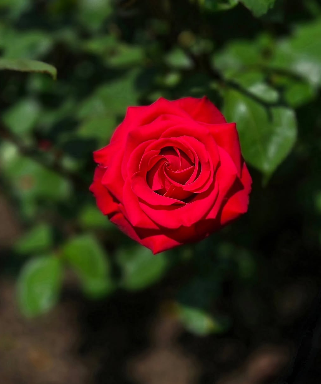 IMG_20260513_223406.jpg