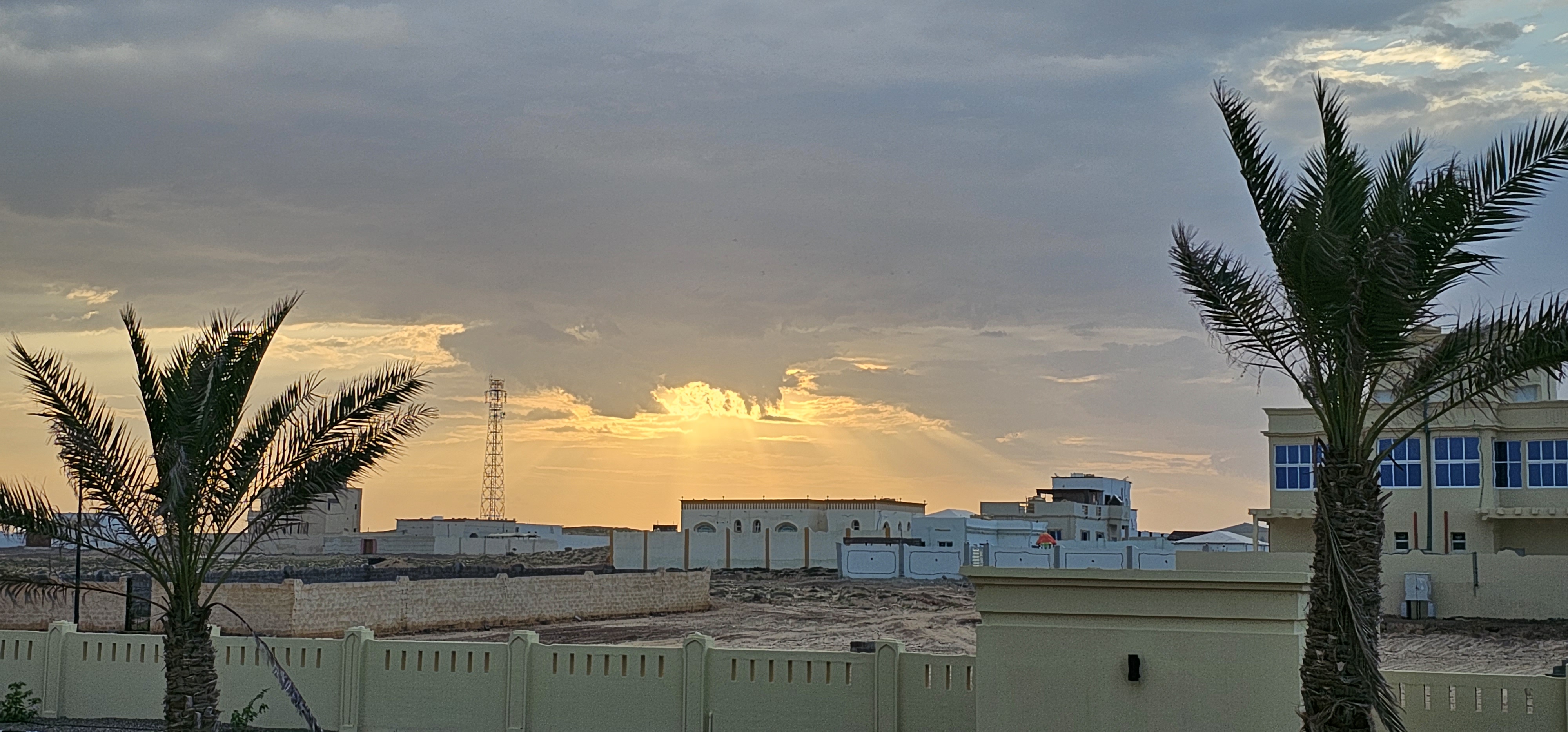 20230421_174822.jpg
